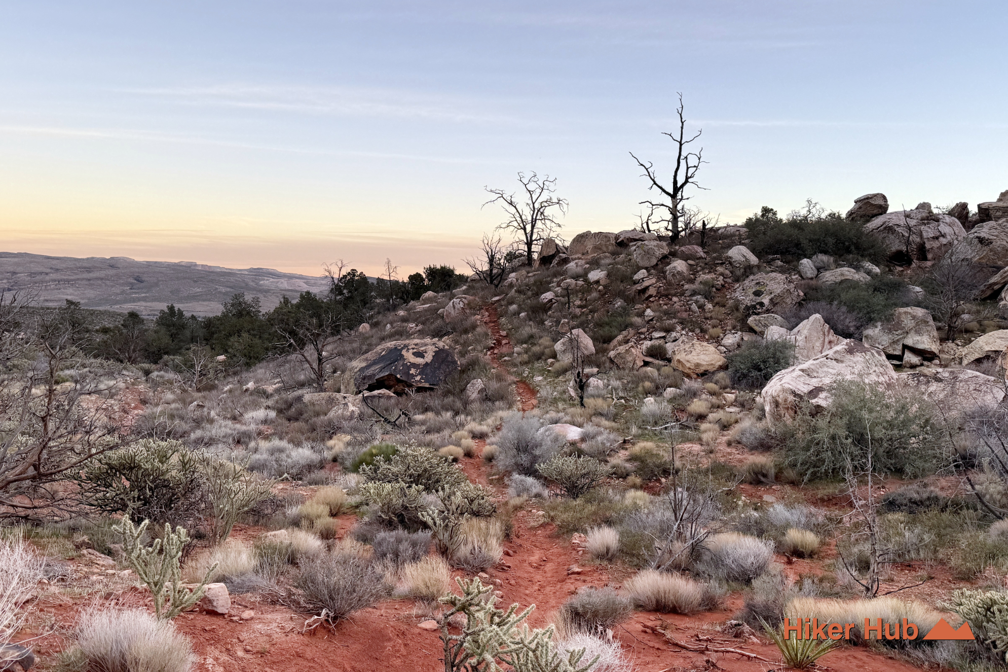 Dale's Trail desert canyon scenery