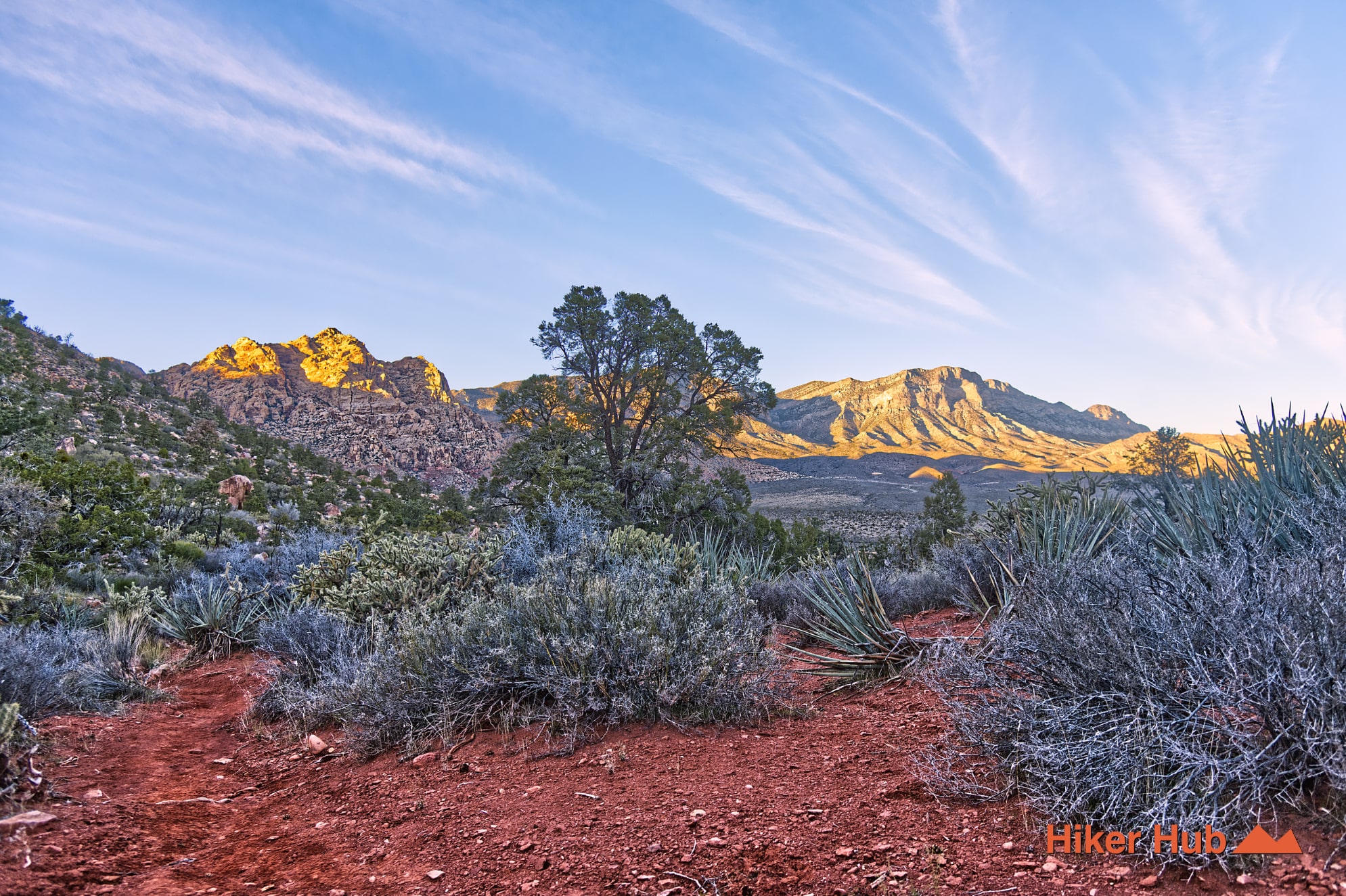 Dale's Trail Red Rock Canyon desert canyon scenery