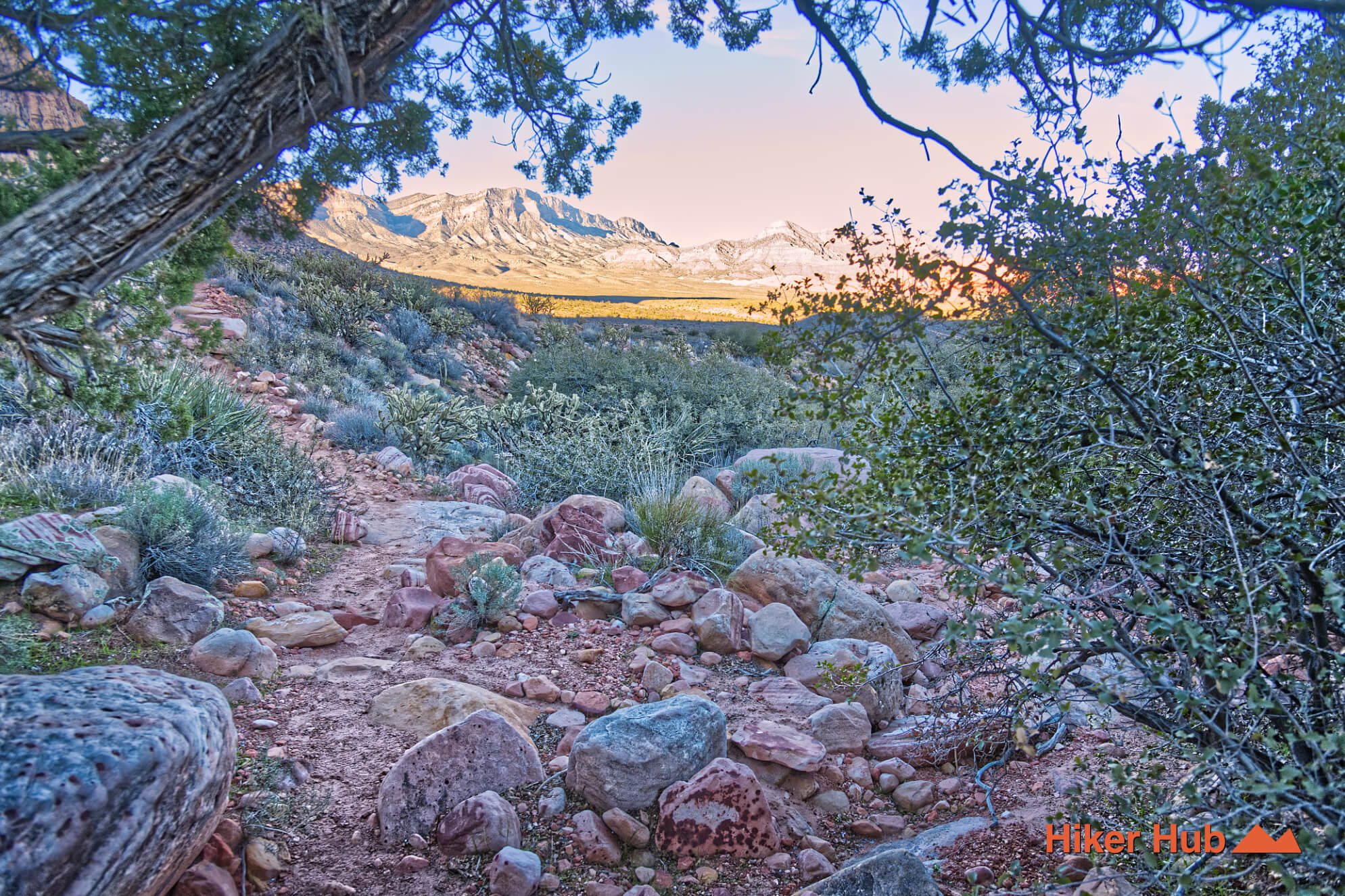 Exploring Pine Creek Canyon desert canyon scenery