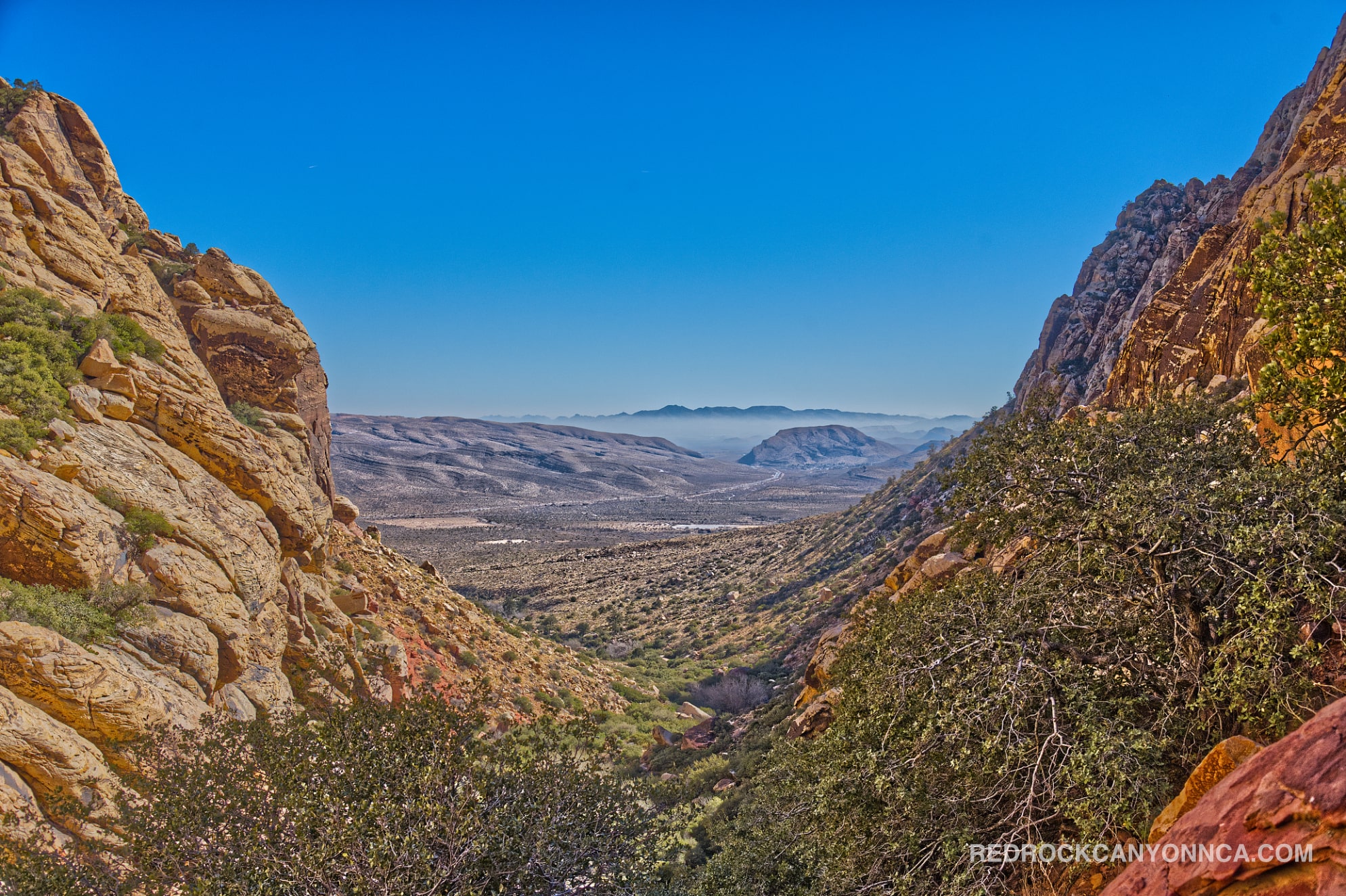 First Creek Canyon Trail desert canyon scenery