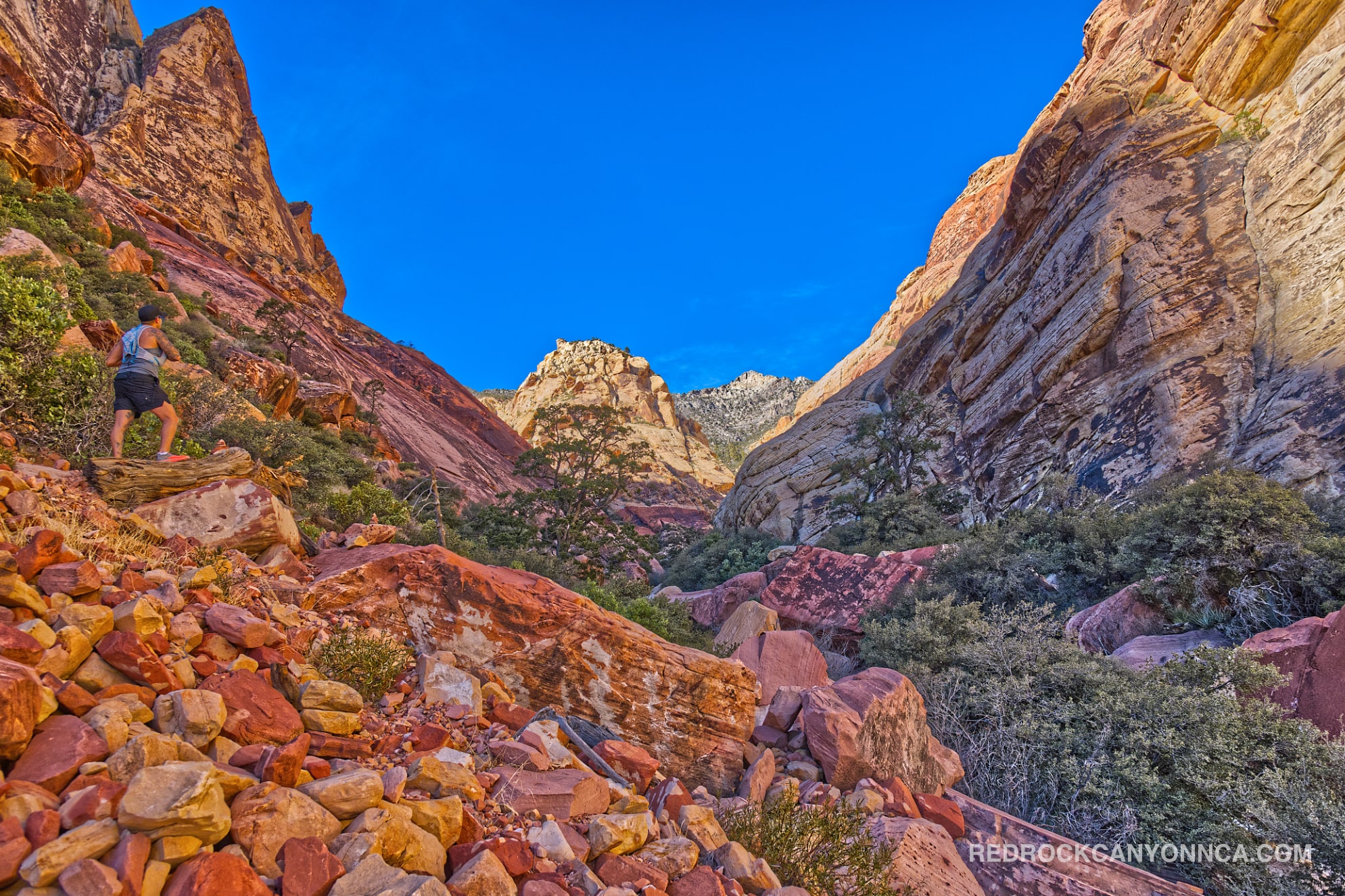 First Creek Canyon Trail desert canyon scenery