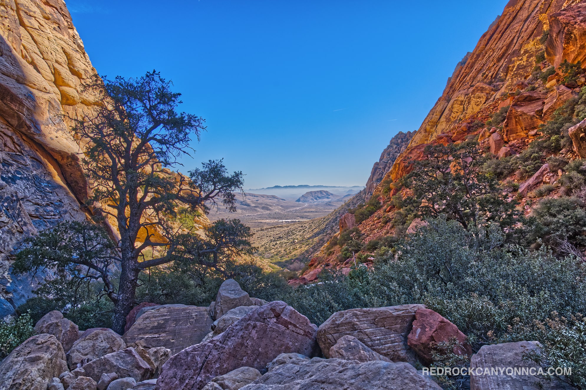 First Creek Canyon Trail desert canyon scenery