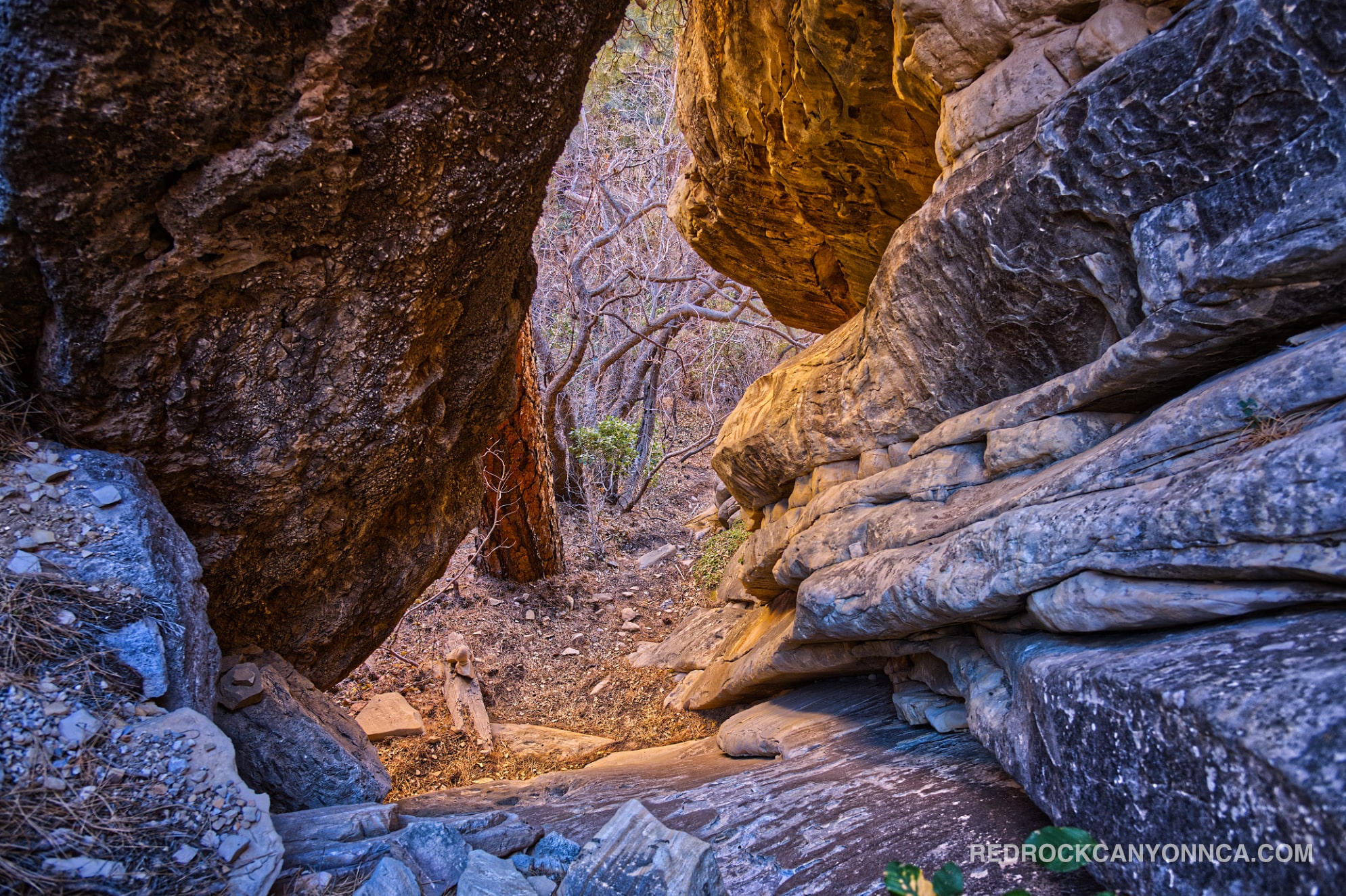 First Creek Canyon Trail desert canyon scenery