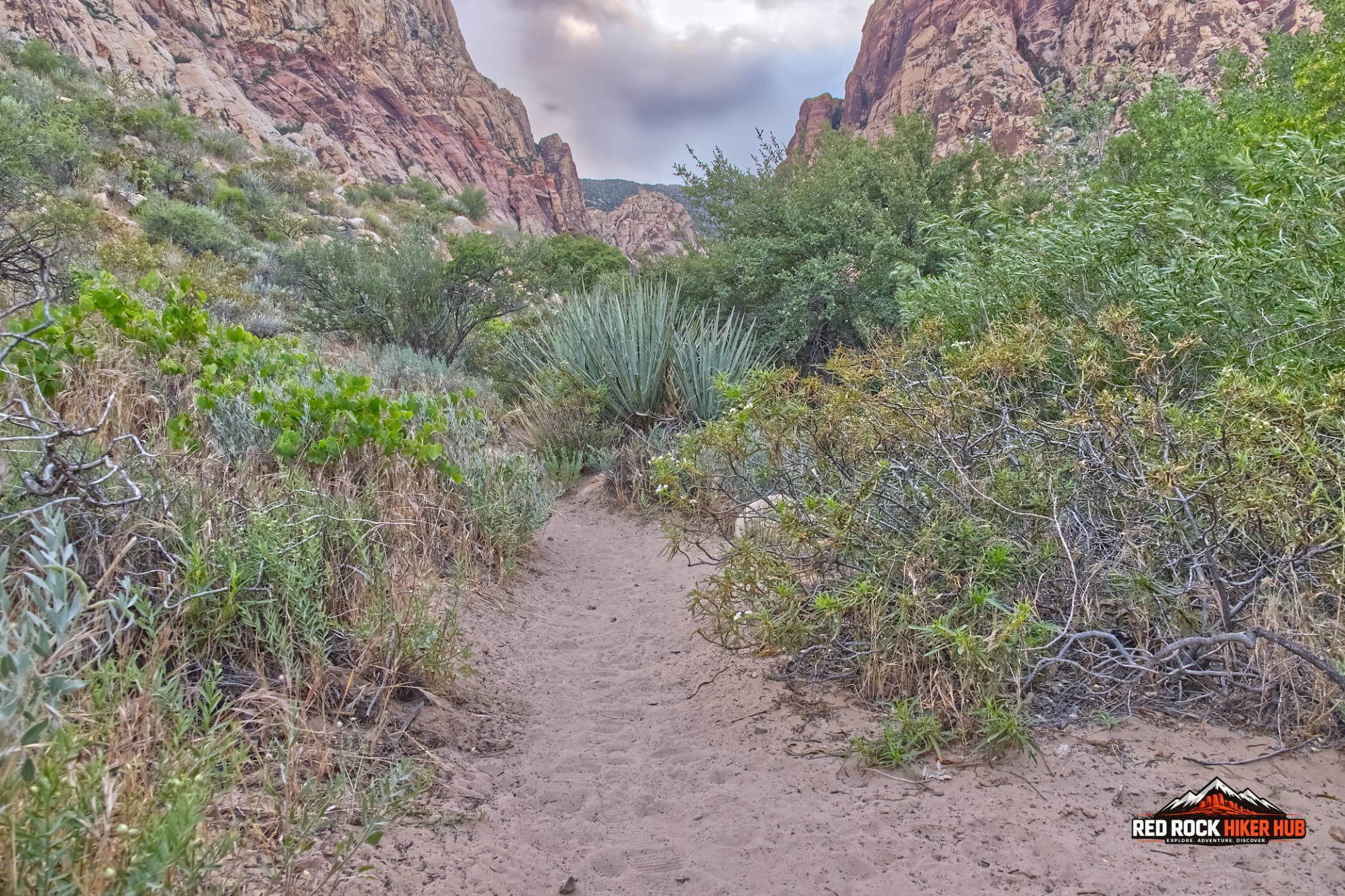 First Creek Trail photo