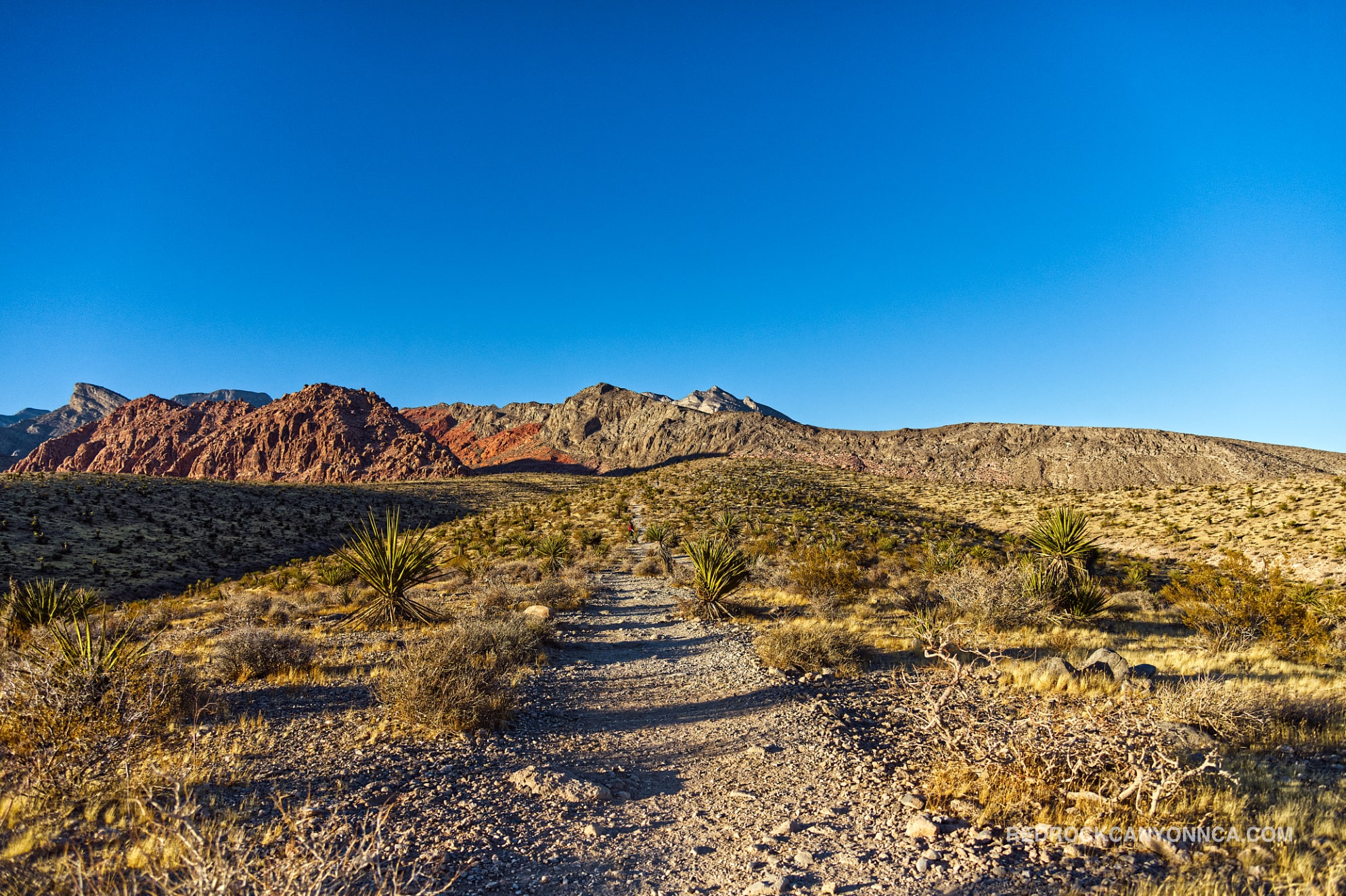 Gene’s Trail desert canyon scenery