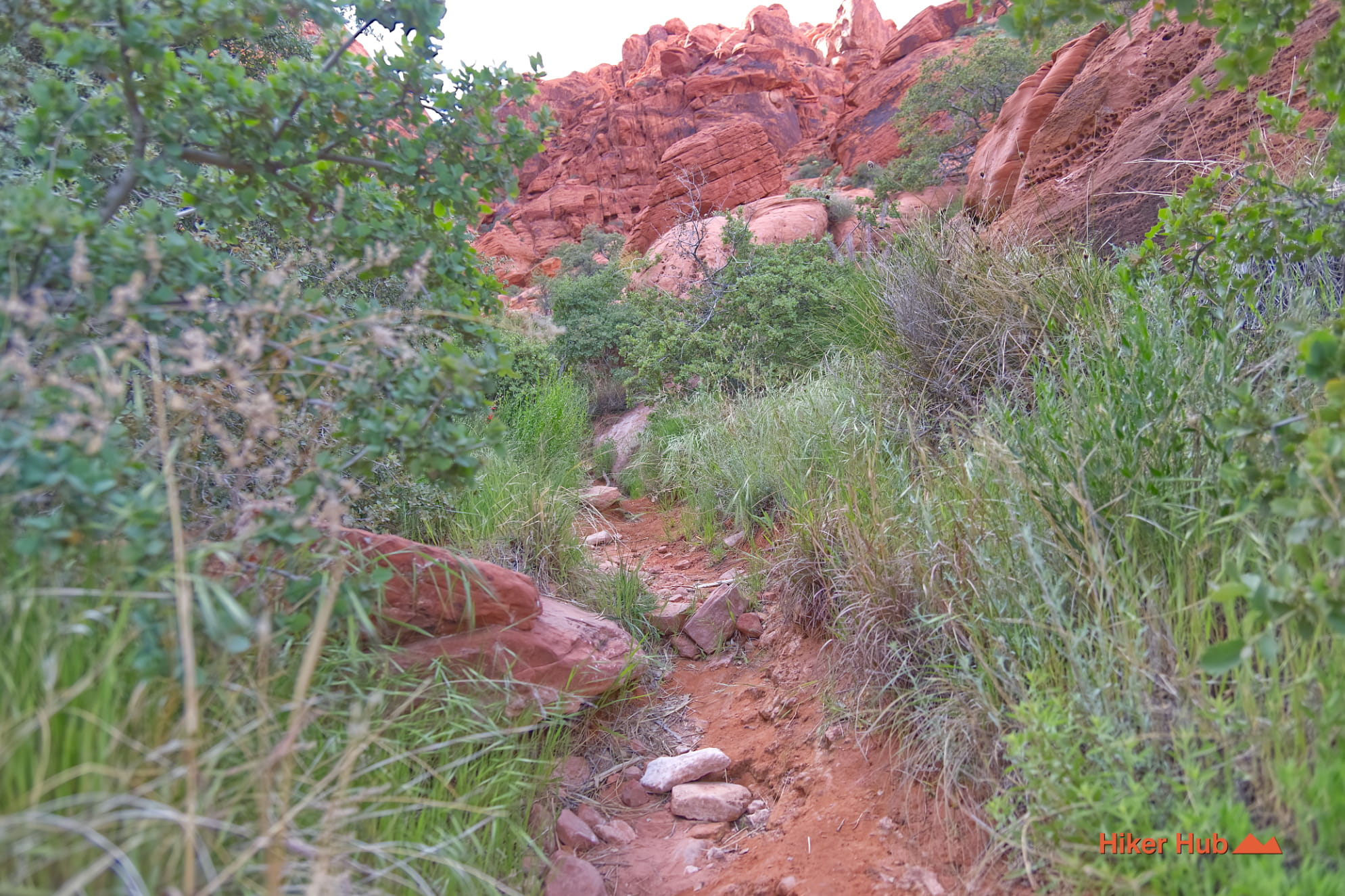 Girl Scout Trail photo