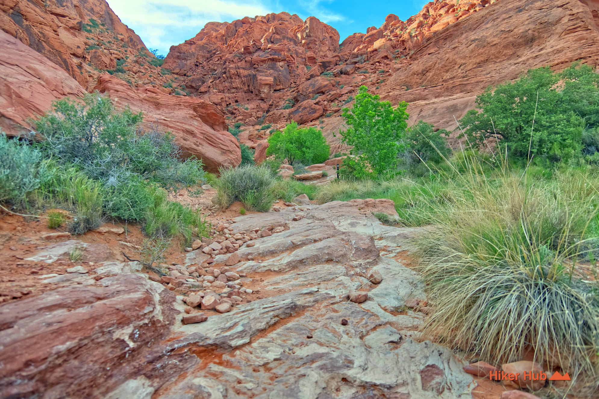 Girl Scout Trail photo