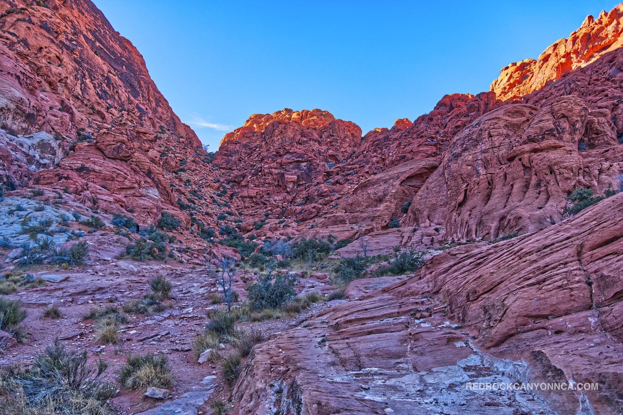 Girl Scout Trail desert canyon scenery