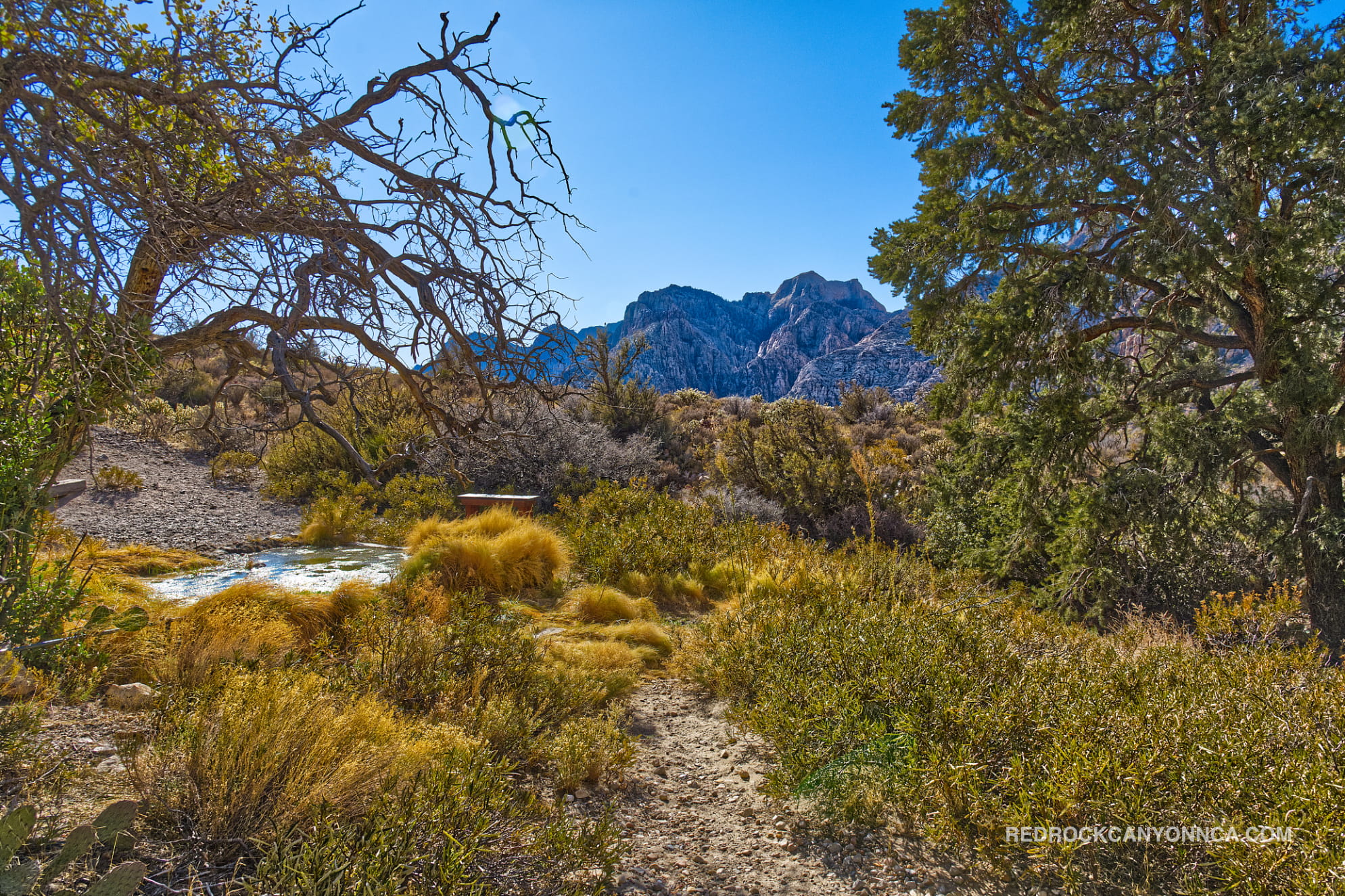 Grand Circle Loop photo