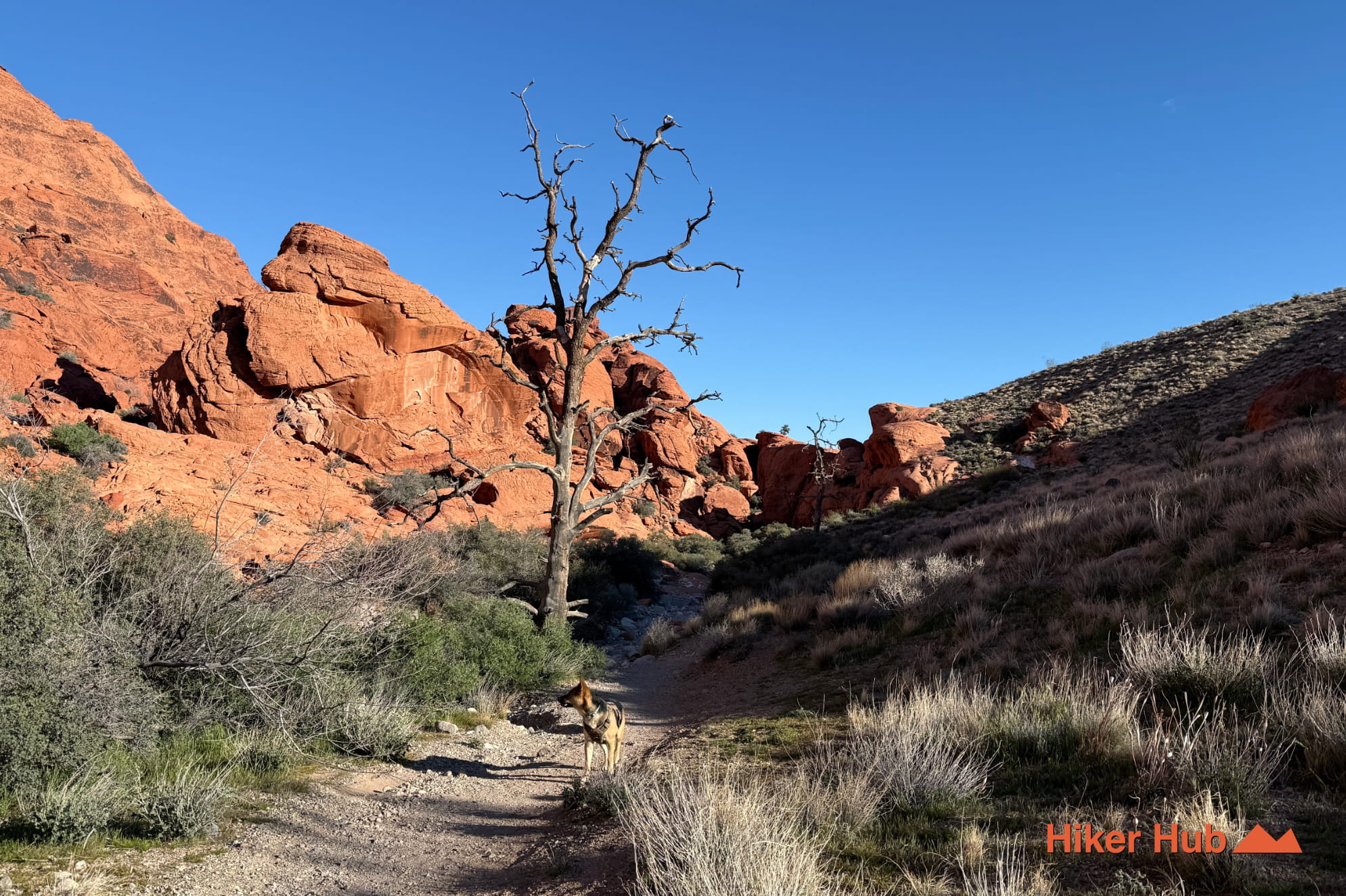 Grand Circle Loop photo