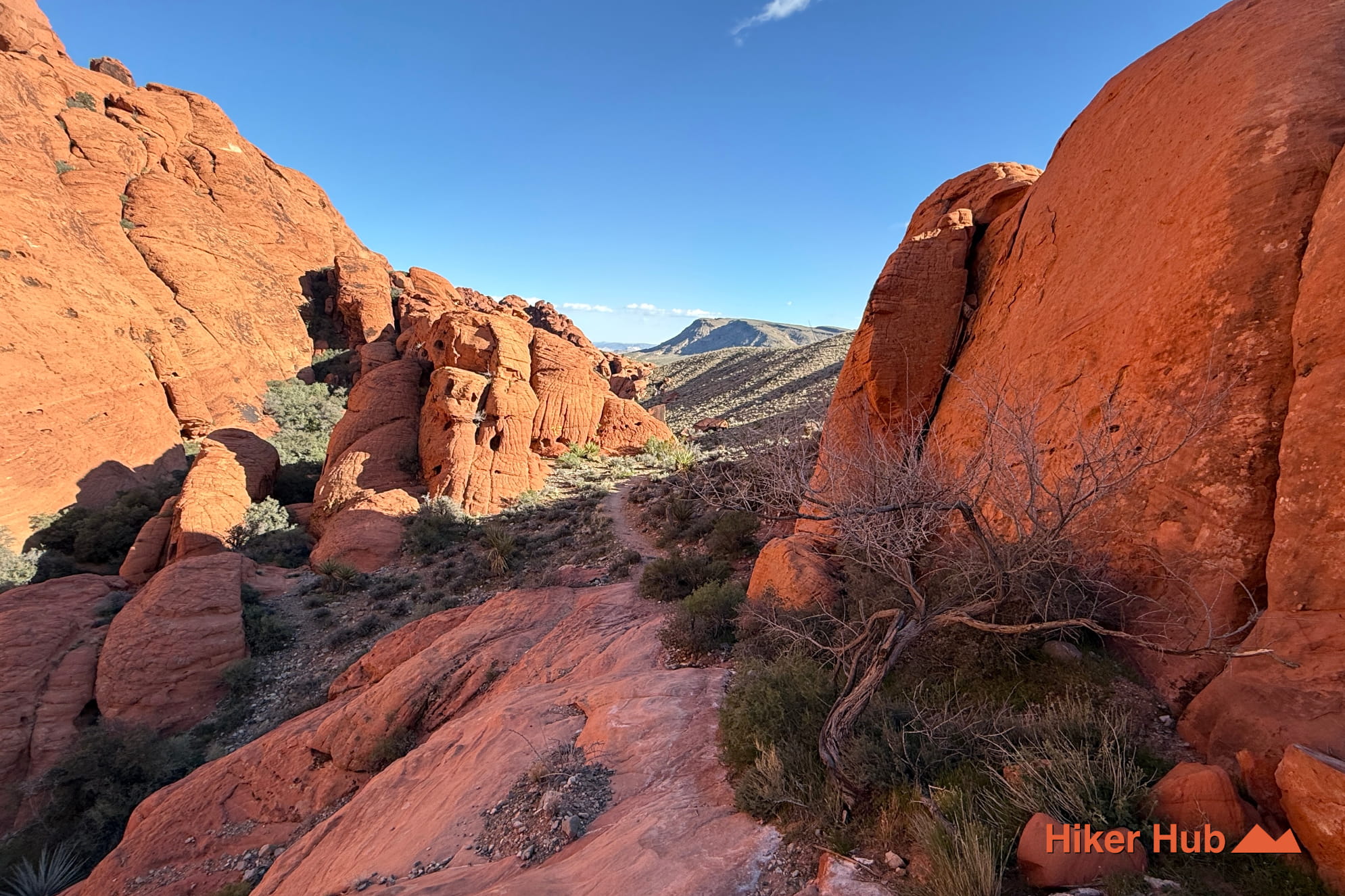 Grand Circle Loop photo