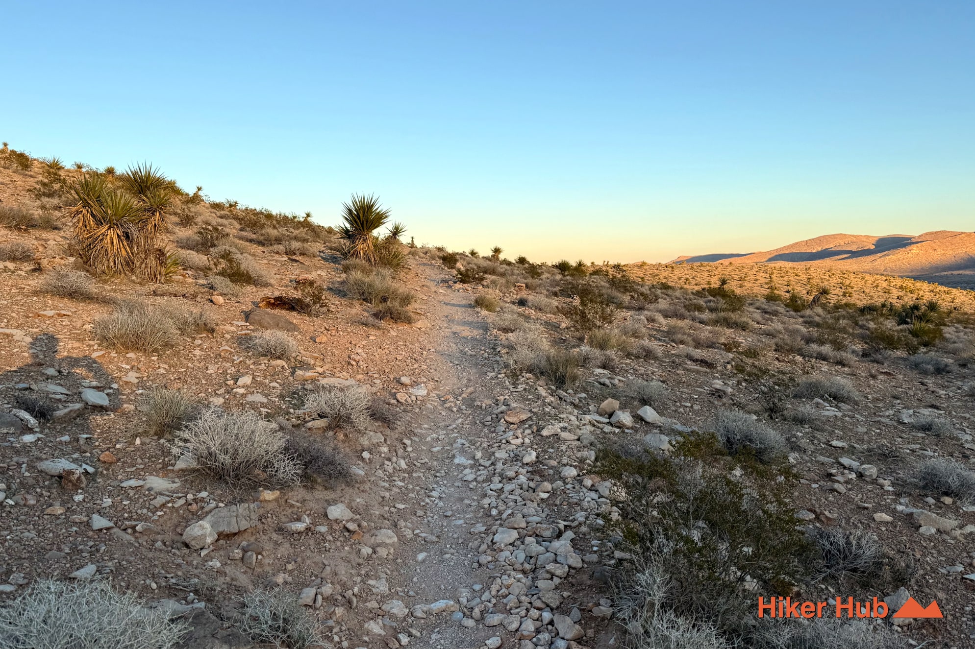 Half Wilson to Gene's Trail Loop desert canyon scenery
