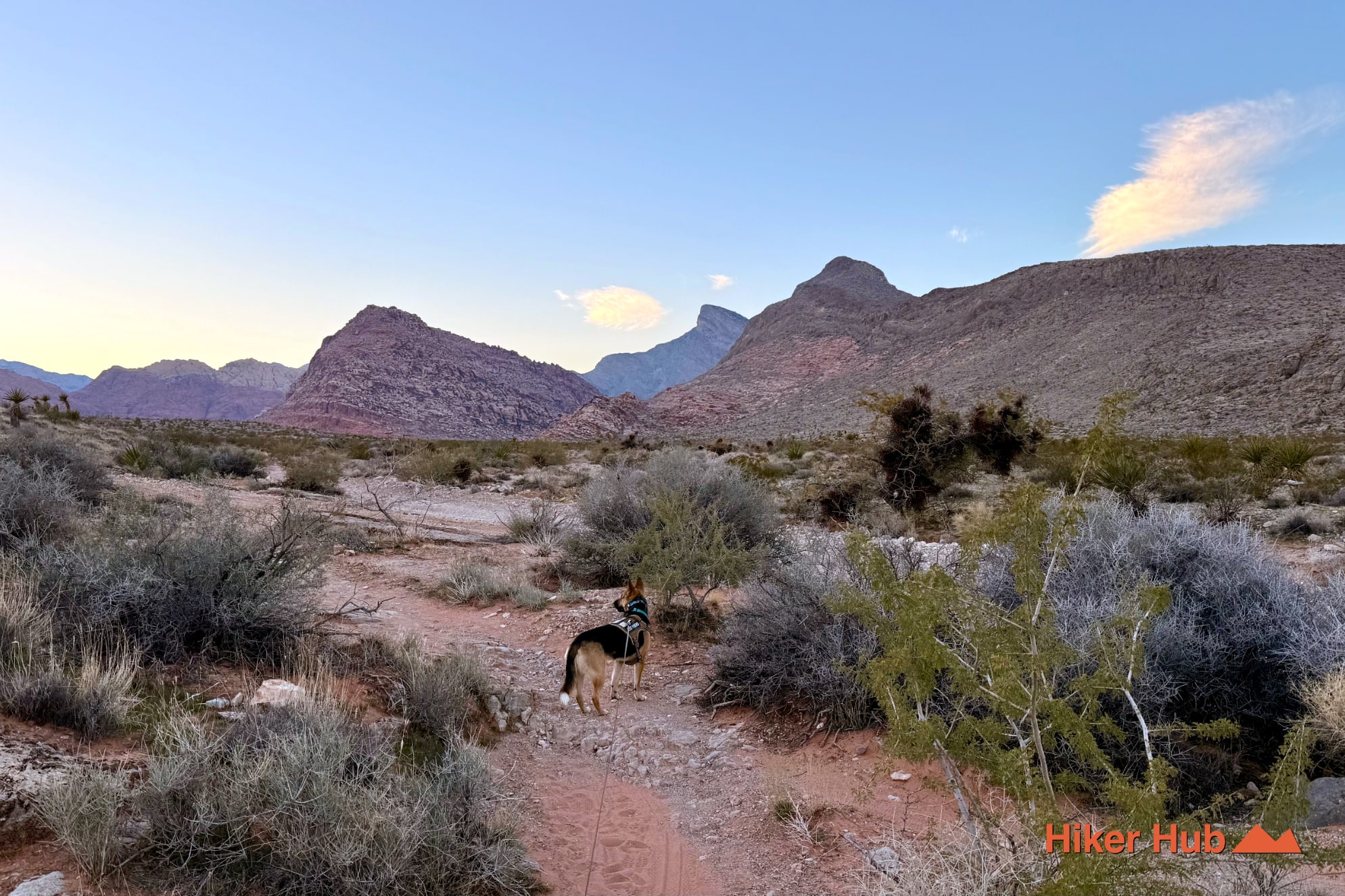 Half Wilson to Gene's Trail Loop desert canyon scenery
