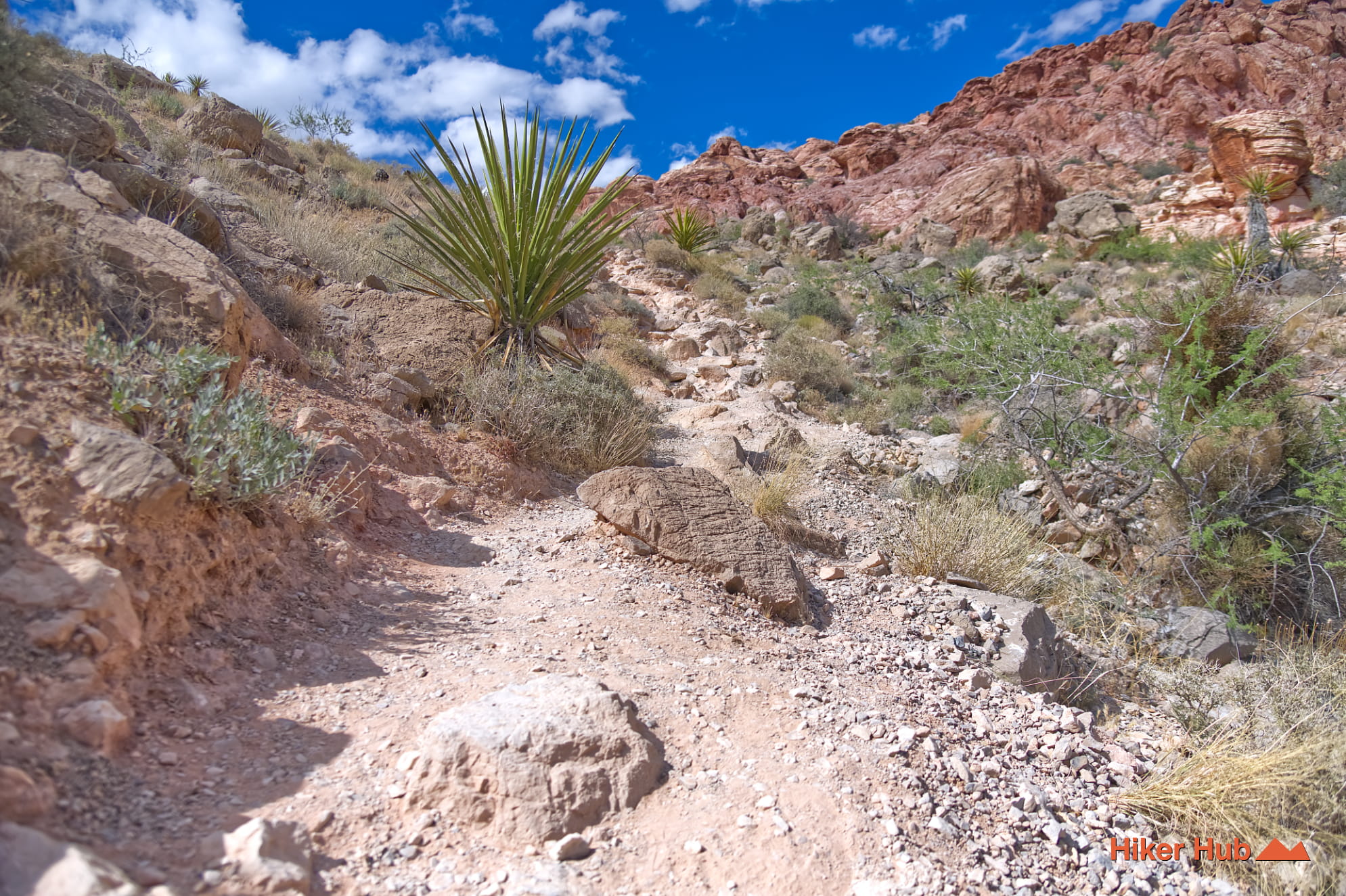 Hell Hill Trail photo