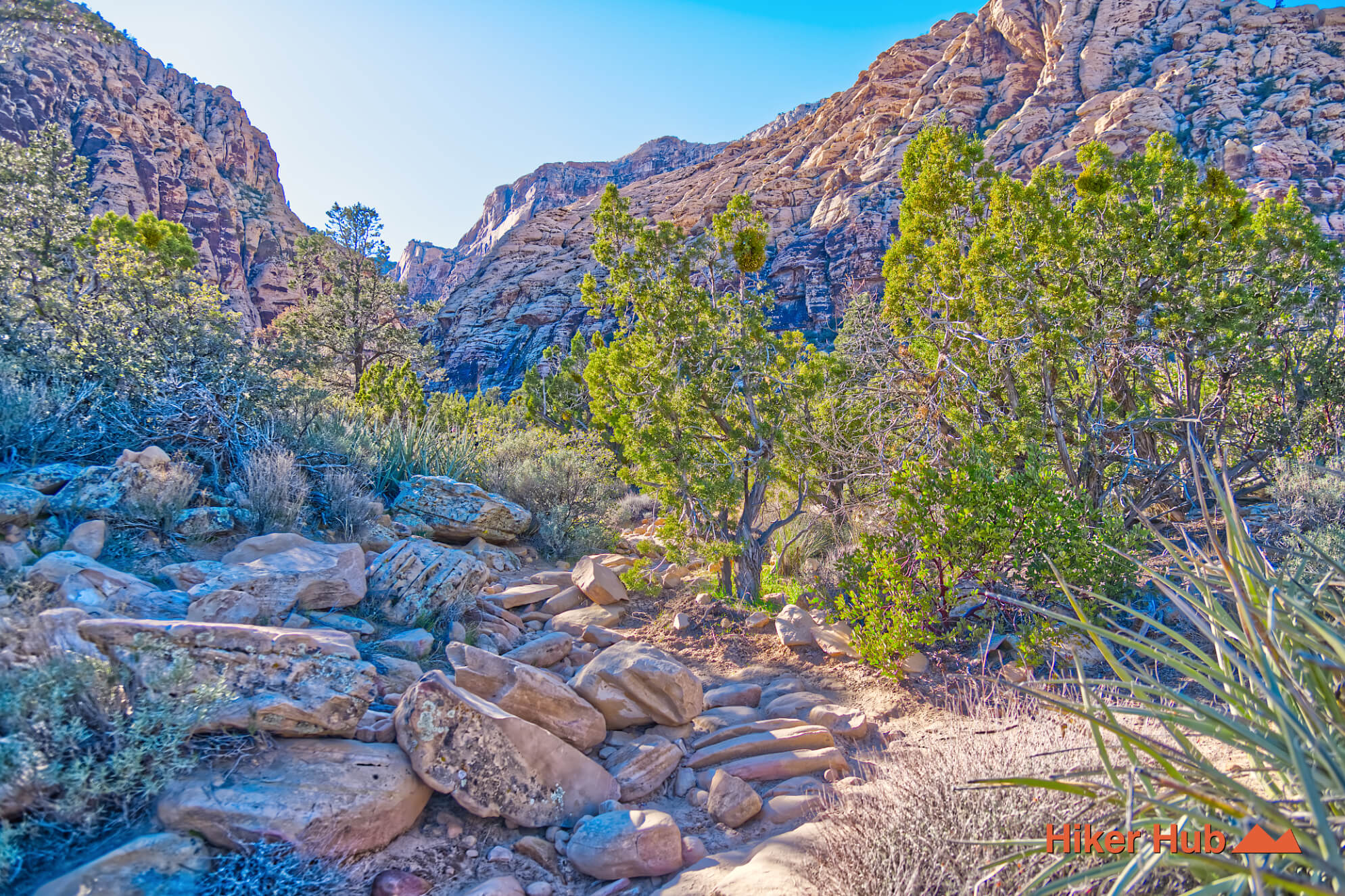 Ice Box Canyon Red Rock Canyon desert canyon scenery