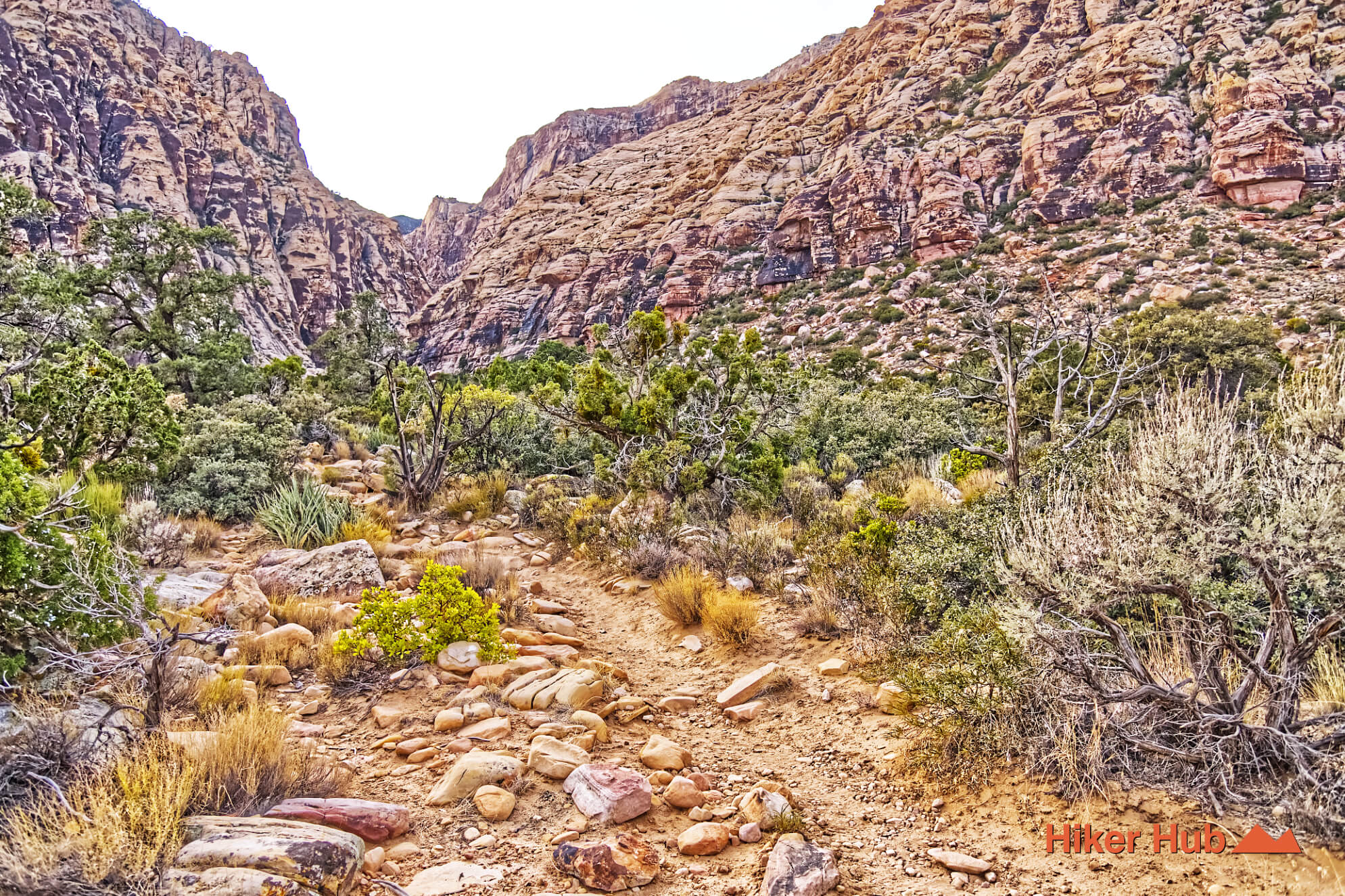 Ice Box Canyon Red Rock Canyon desert canyon scenery