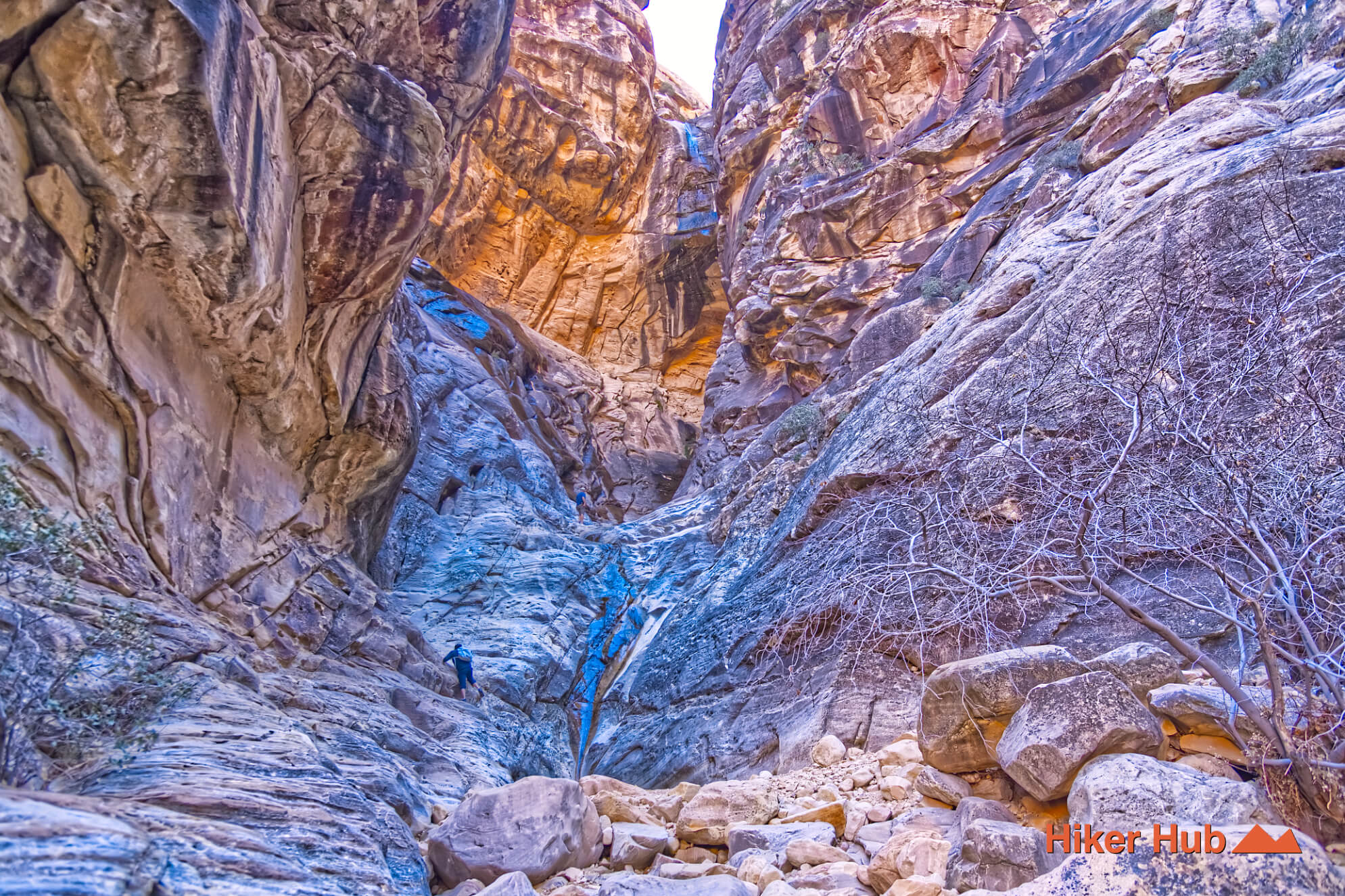 Ice Box Canyon Red Rock Canyon desert canyon scenery