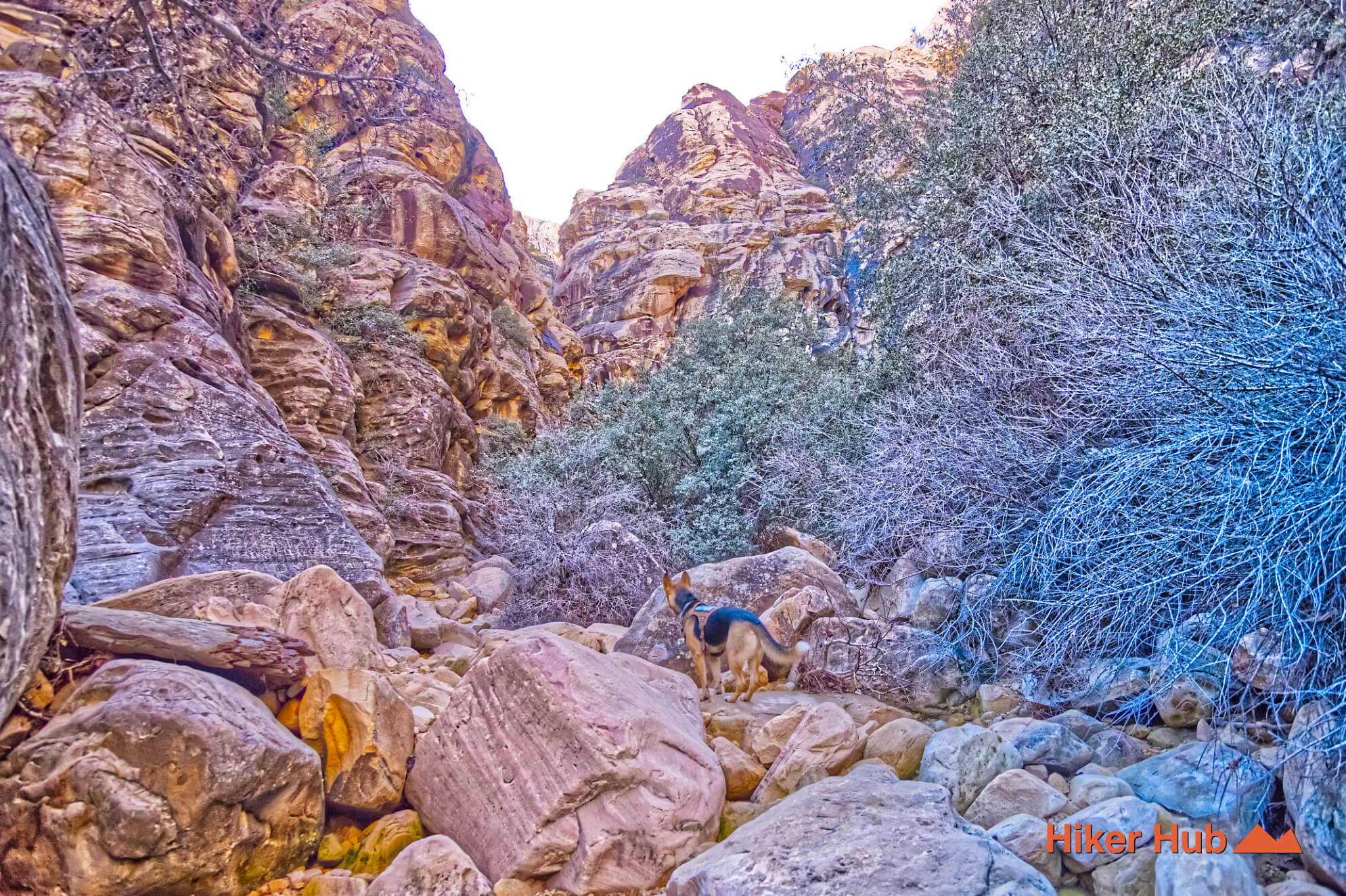 Ice Box Canyon Trail desert canyon scenery
