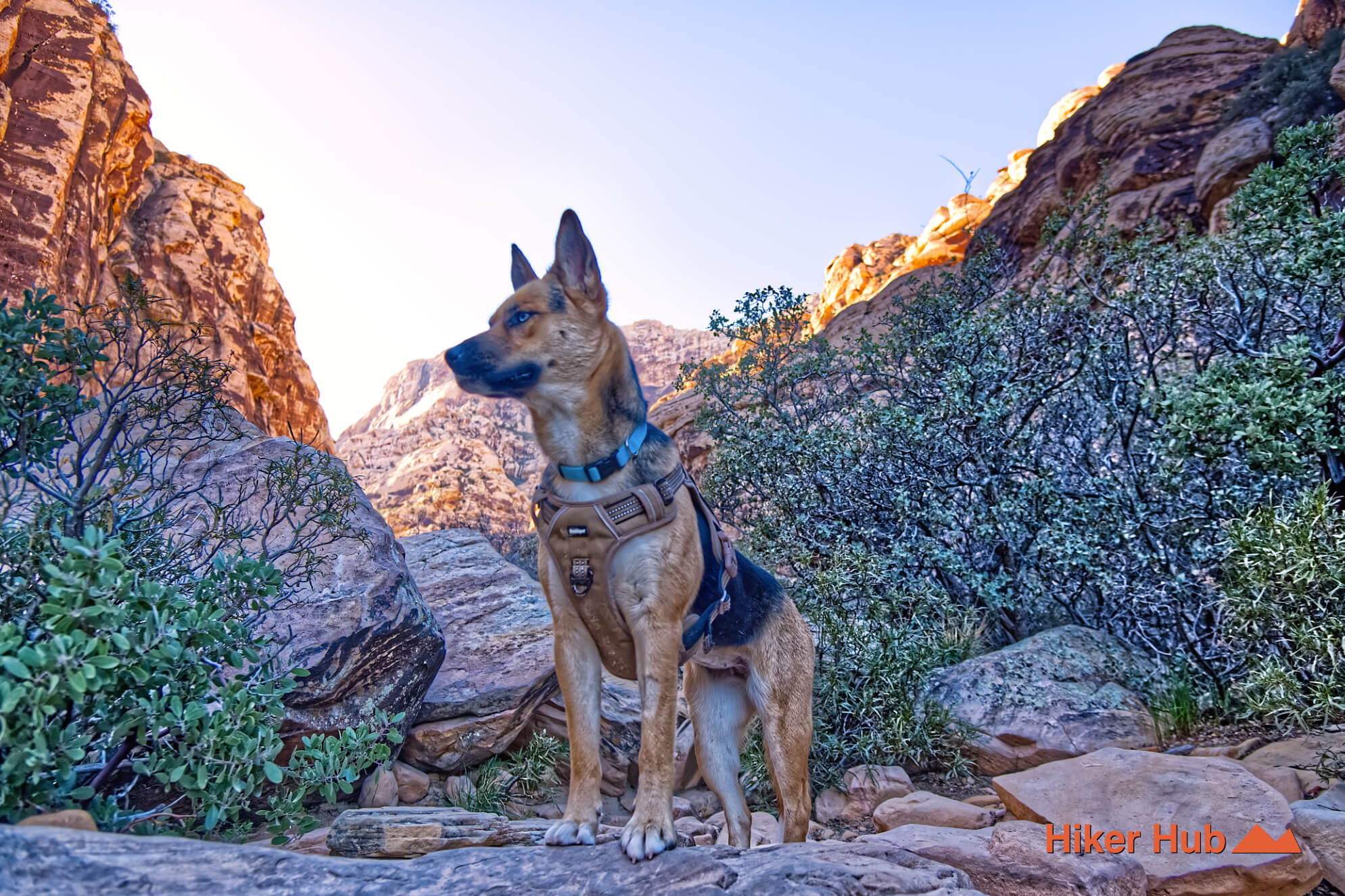 Ice Box Canyon Trail desert canyon scenery