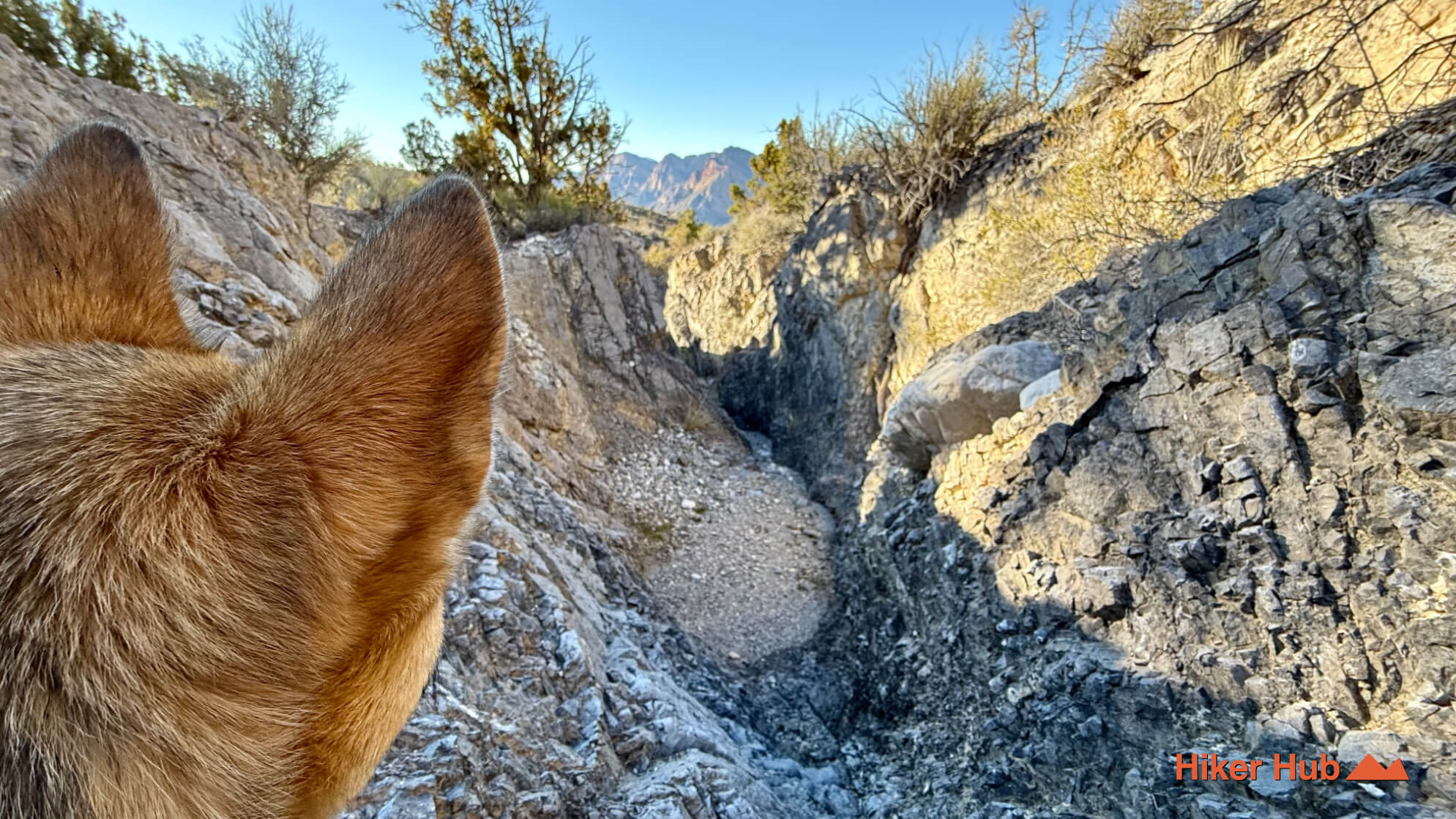 Keystone Thrust Extended Route desert canyon scenery