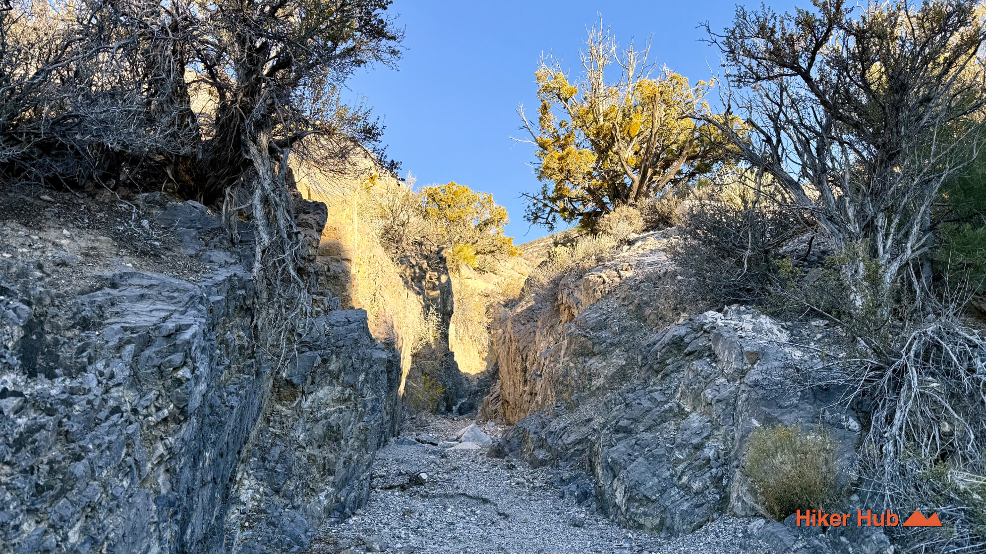 Keystone Thrust Extended Route desert canyon scenery