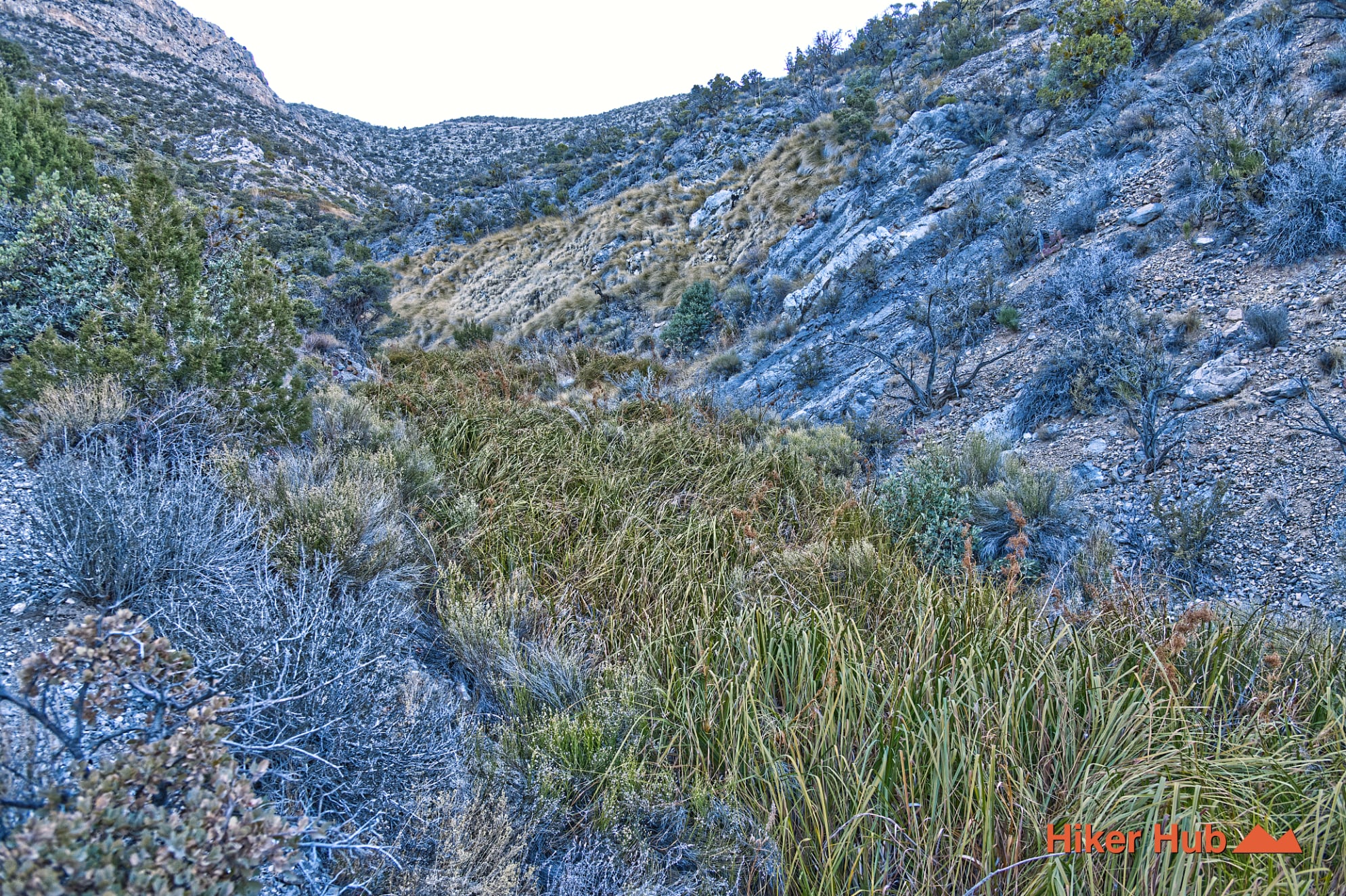 La Madre Spring Trail desert canyon scenery