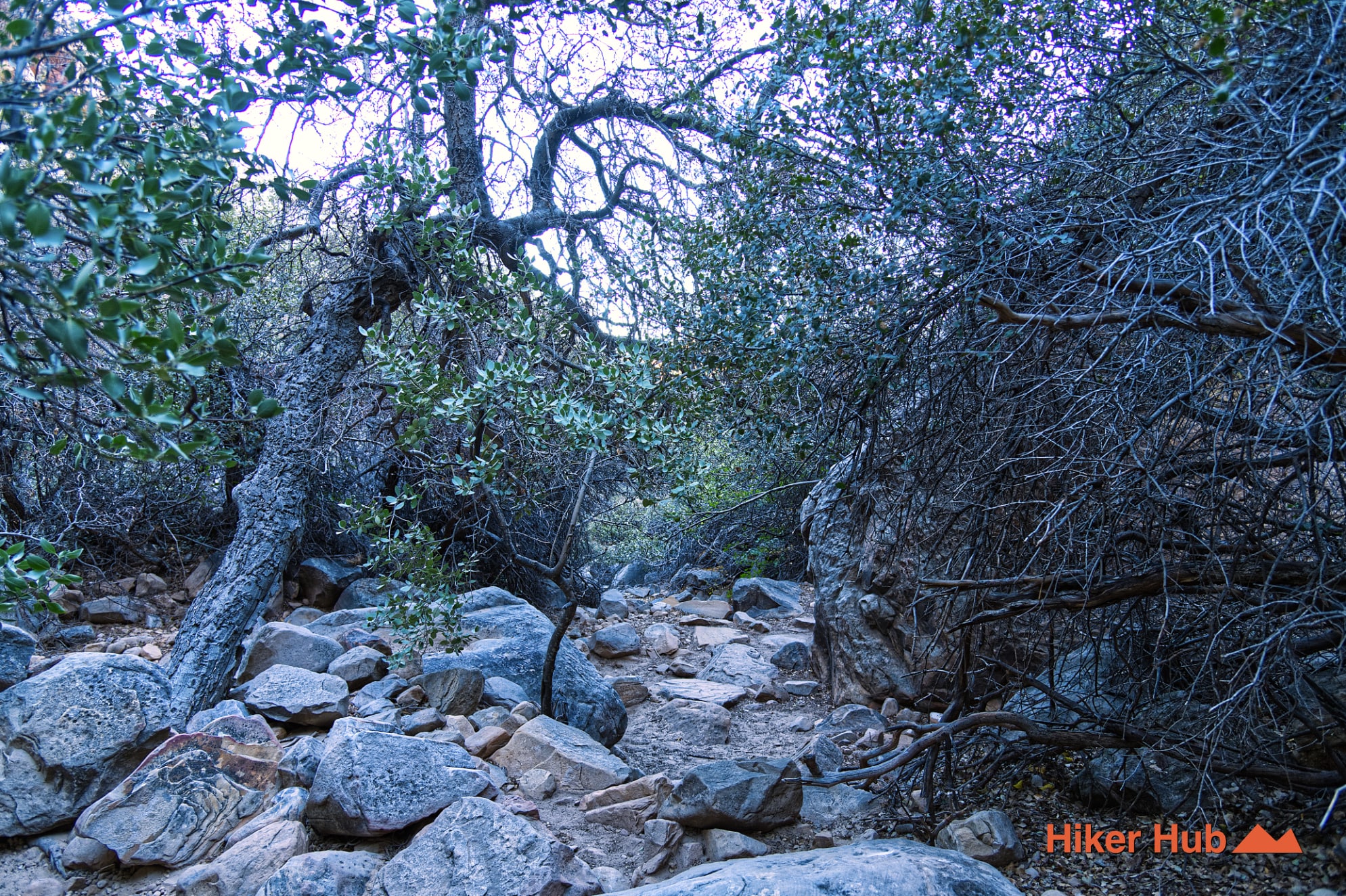 Lost Creek Canyon Trail desert canyon scenery