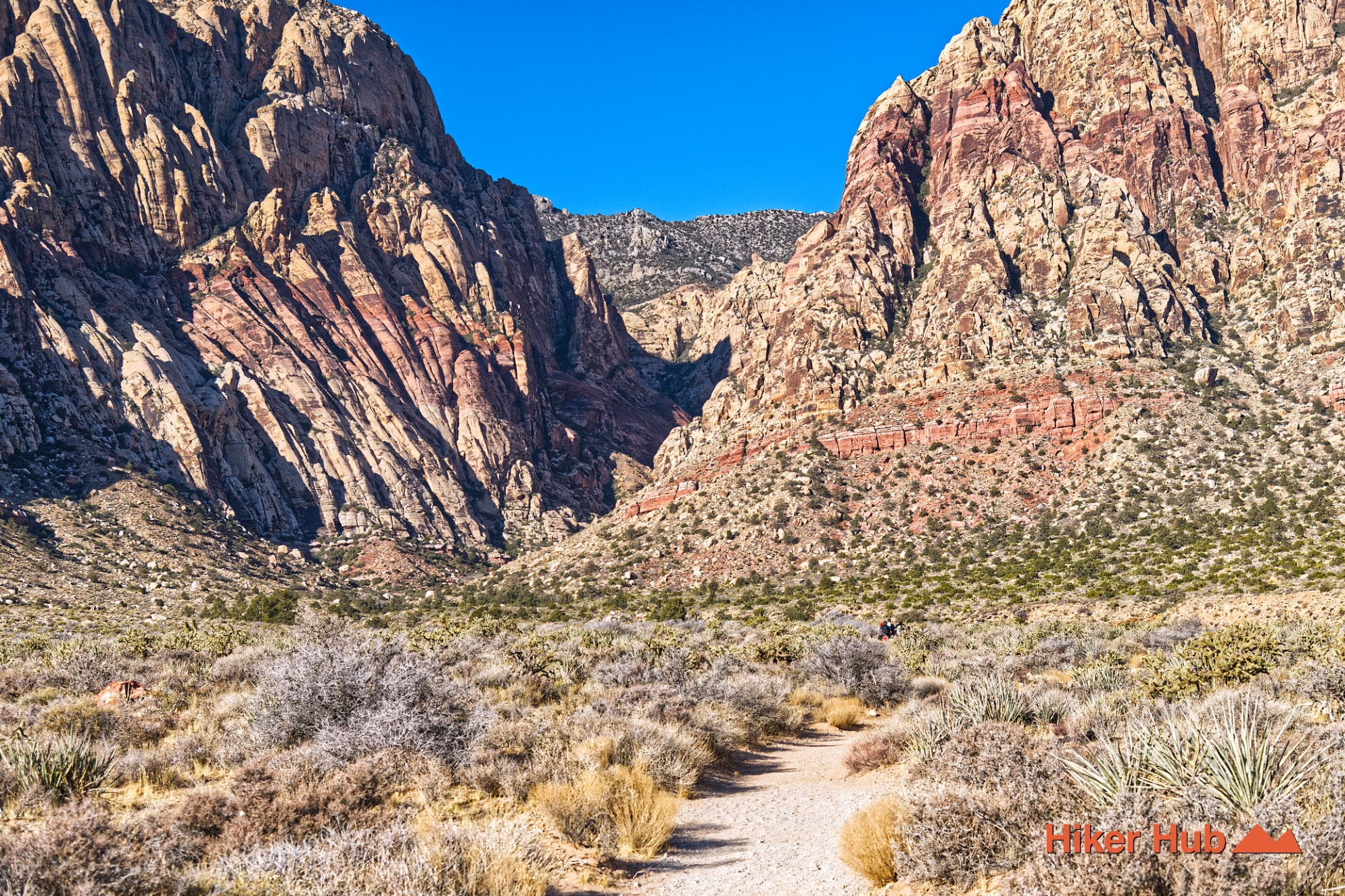 
                            Middle Oak to Knoll Trail