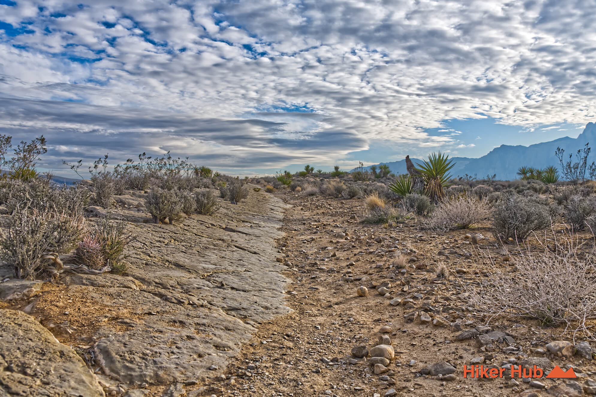 Moenkopi desert canyon scenery