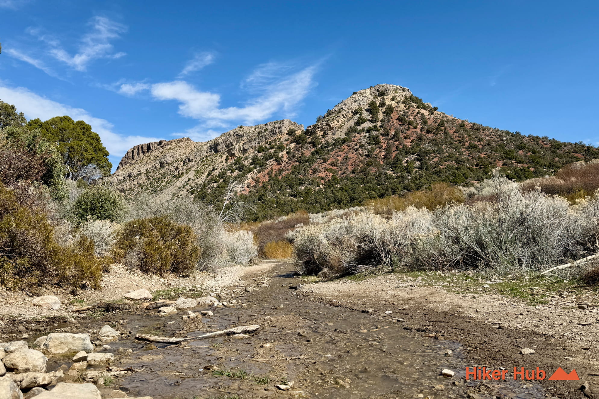 Mt Charleston Backcountry Scenic Drive photo