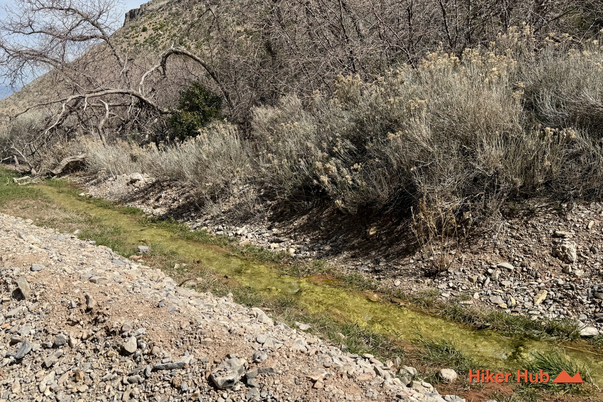 Mt Charleston Backcountry Scenic Drive photo