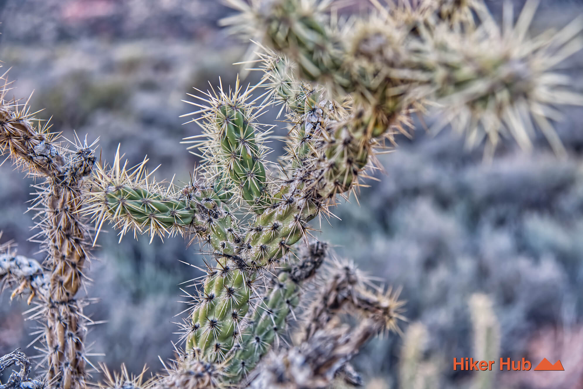 Oak Creek-Arnight Knoll Loop desert canyon scenery