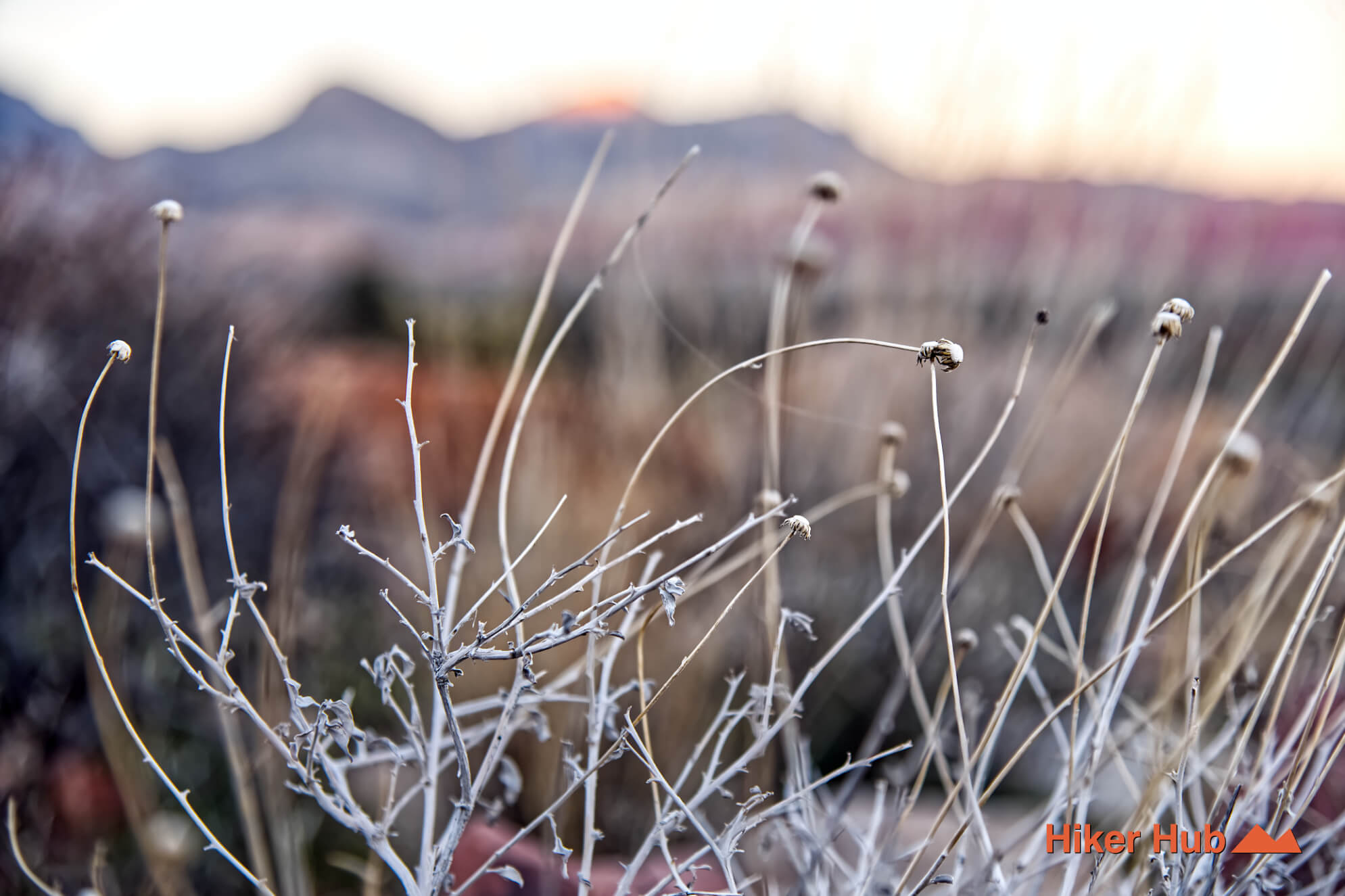 Oak Creek-Arnight Knoll Loop desert canyon scenery