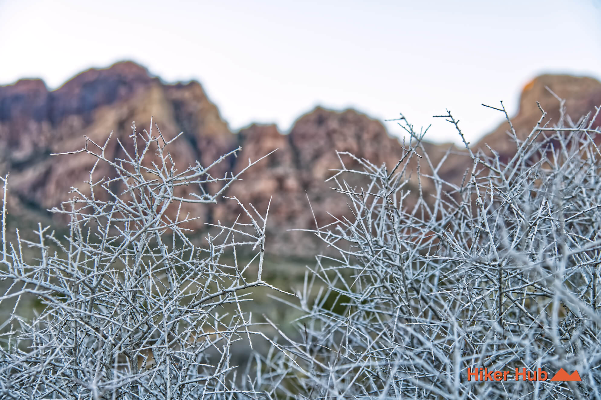Oak Creek Arnight Knoll Loop desert canyon scenery