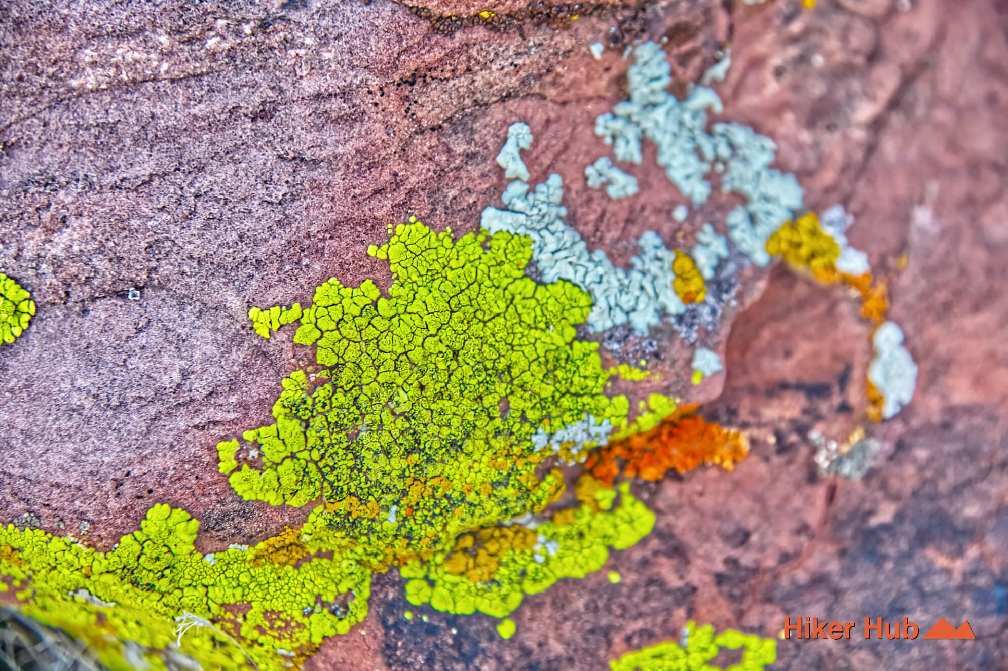 Oak Creek Arnight Knoll Loop desert canyon scenery