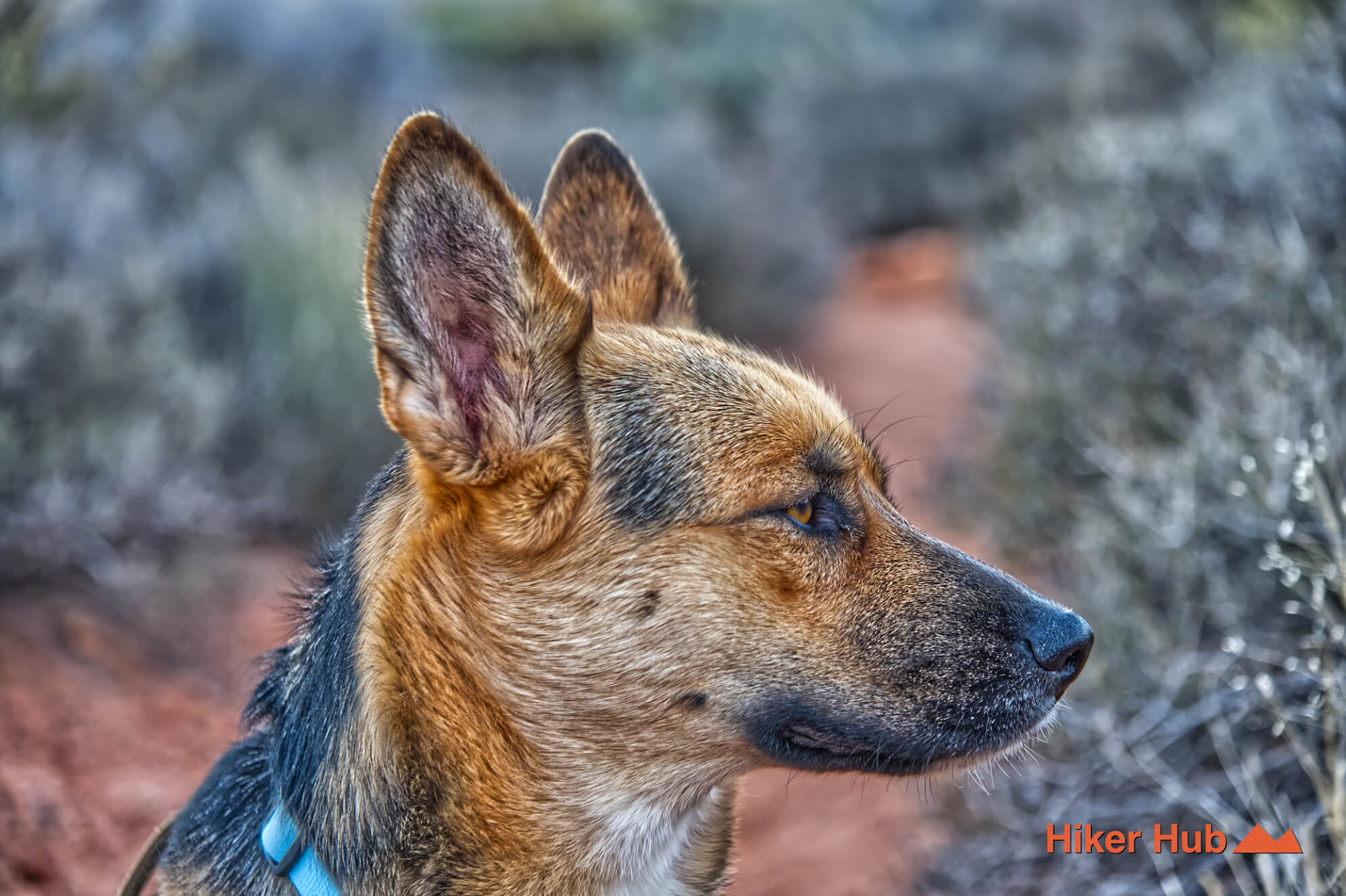 
                            Oak Creek Arnight Knoll Loop