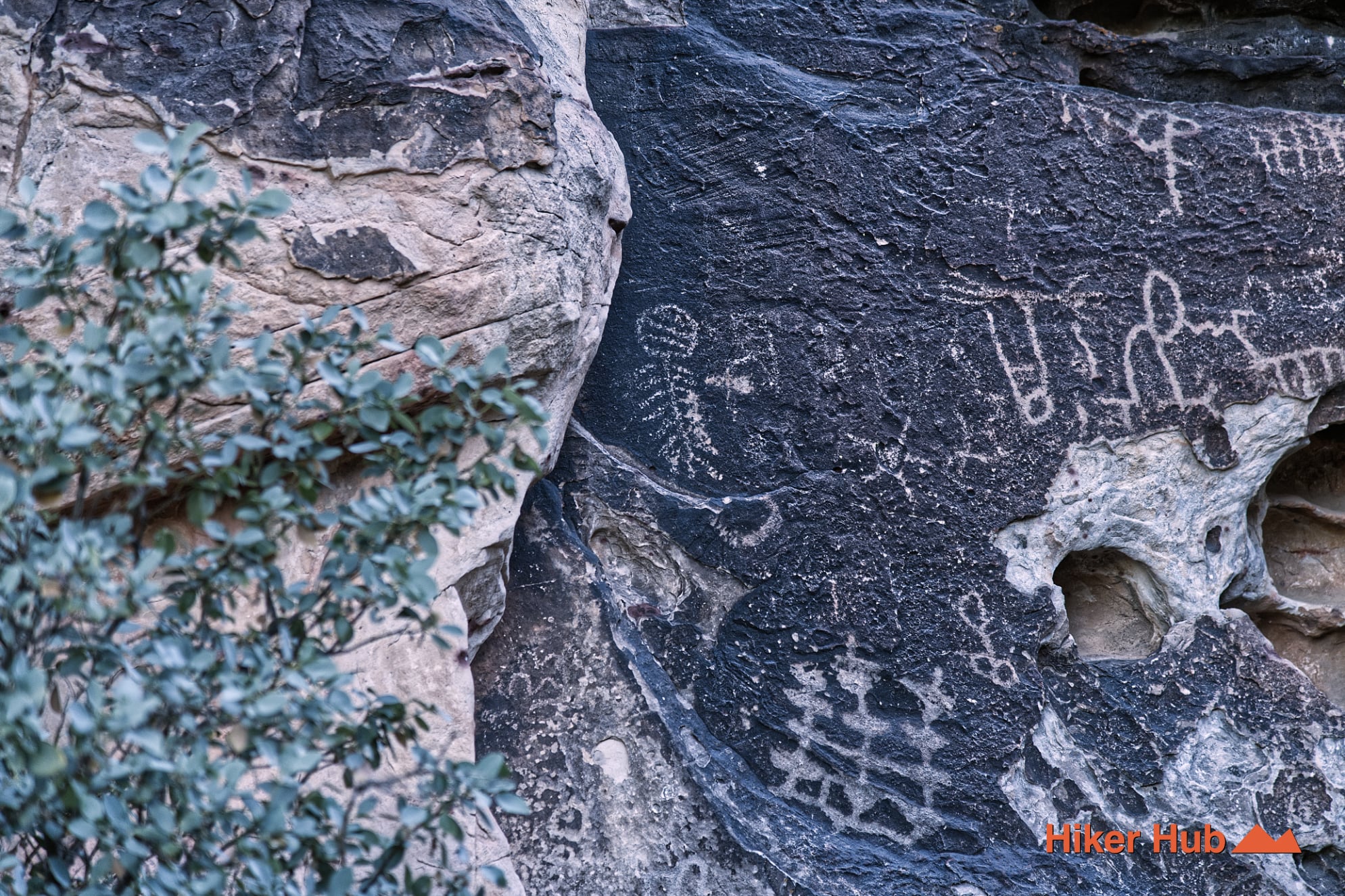 Petroglyph Wall Trail desert canyon scenery