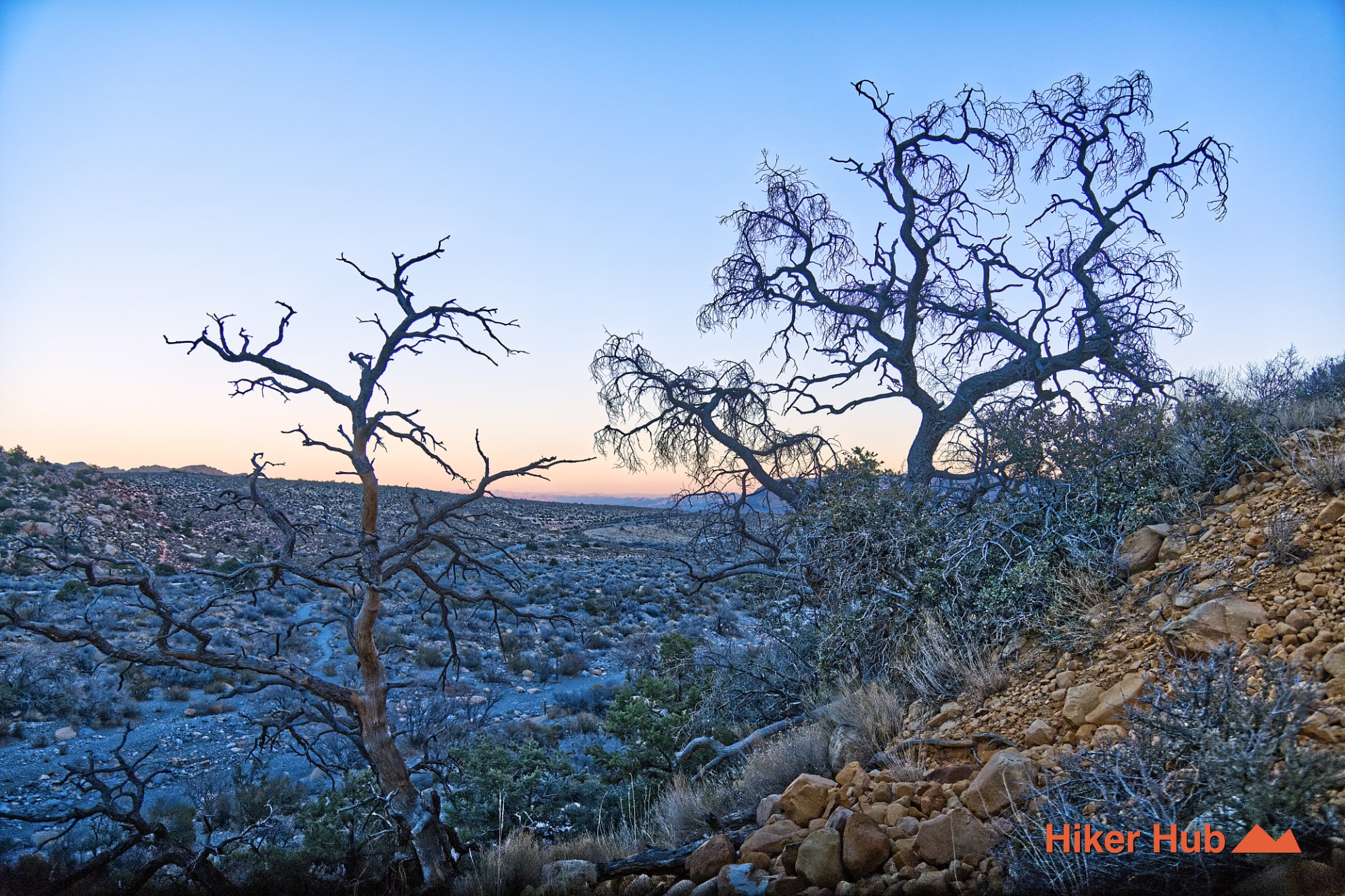 Petroglyph Wall Trail desert canyon scenery