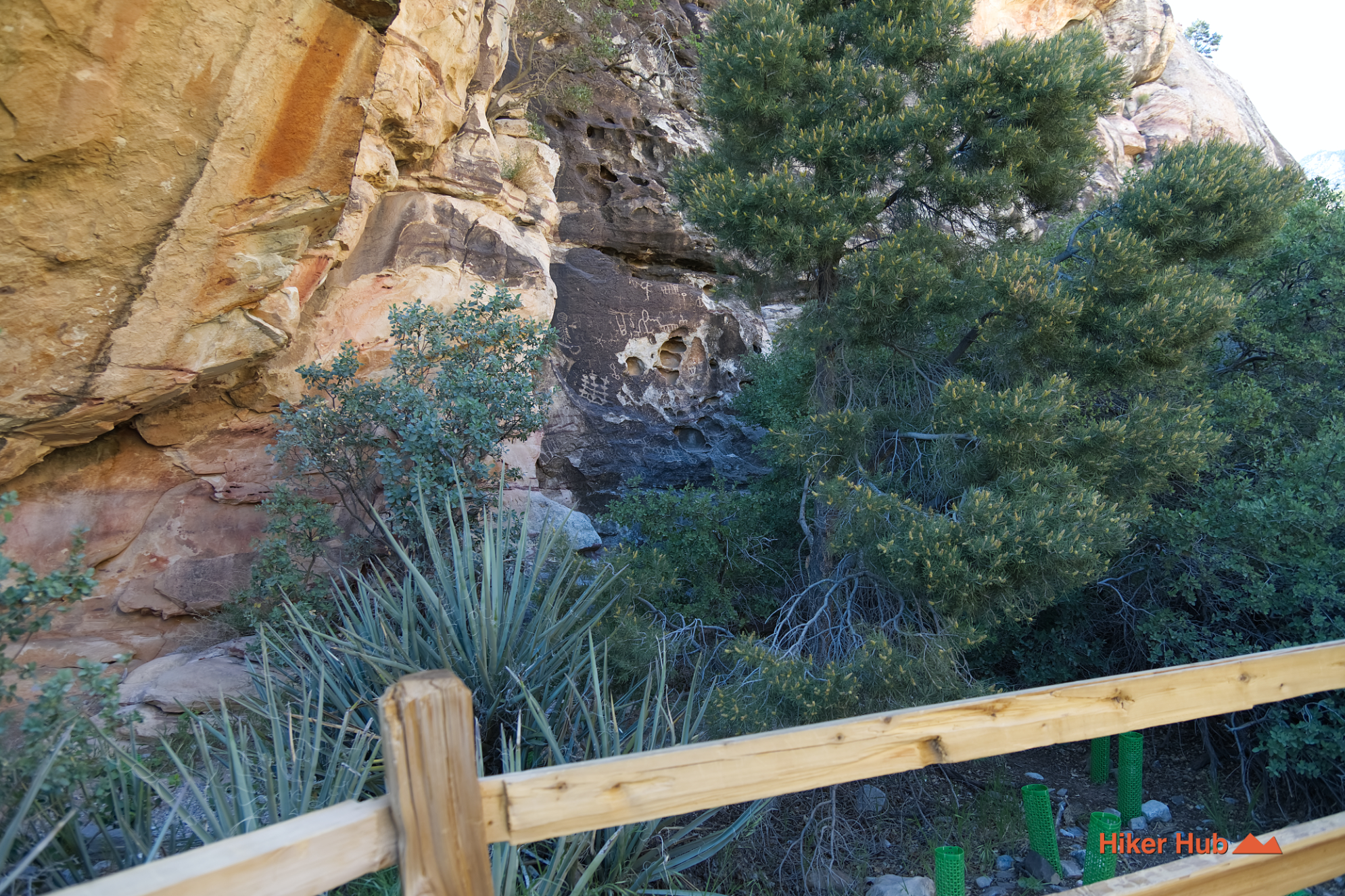 Petroglyph Wall Trail photo