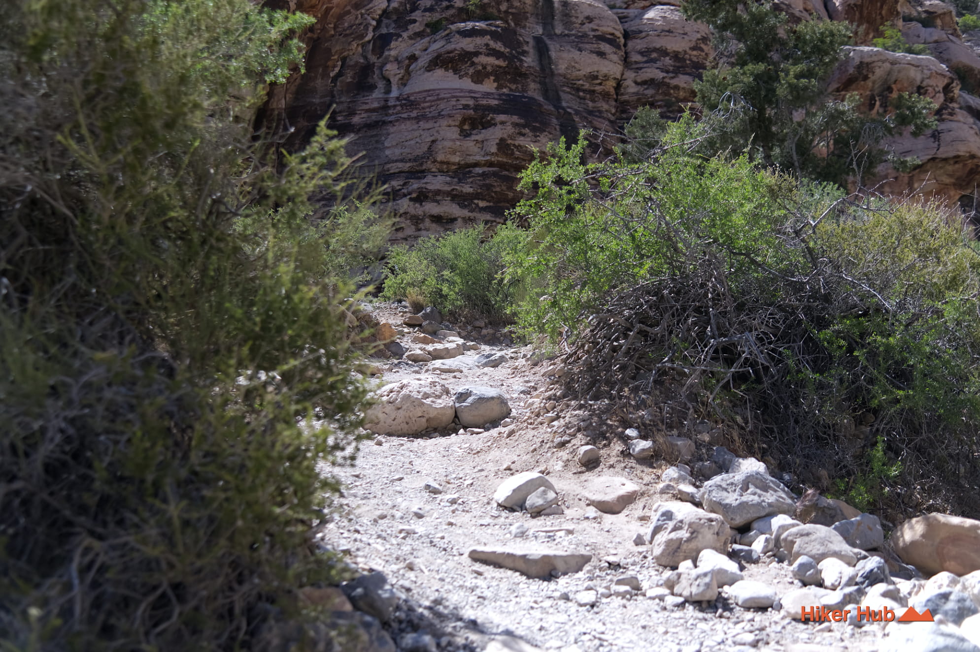 Petroglyph Wall Trail photo