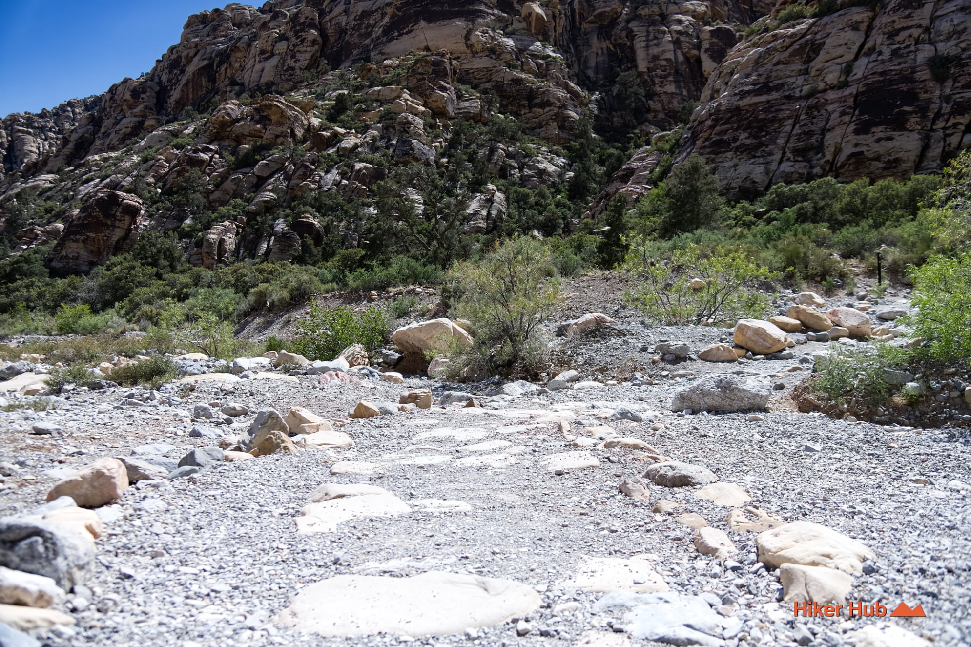 Petroglyph Wall Trail photo