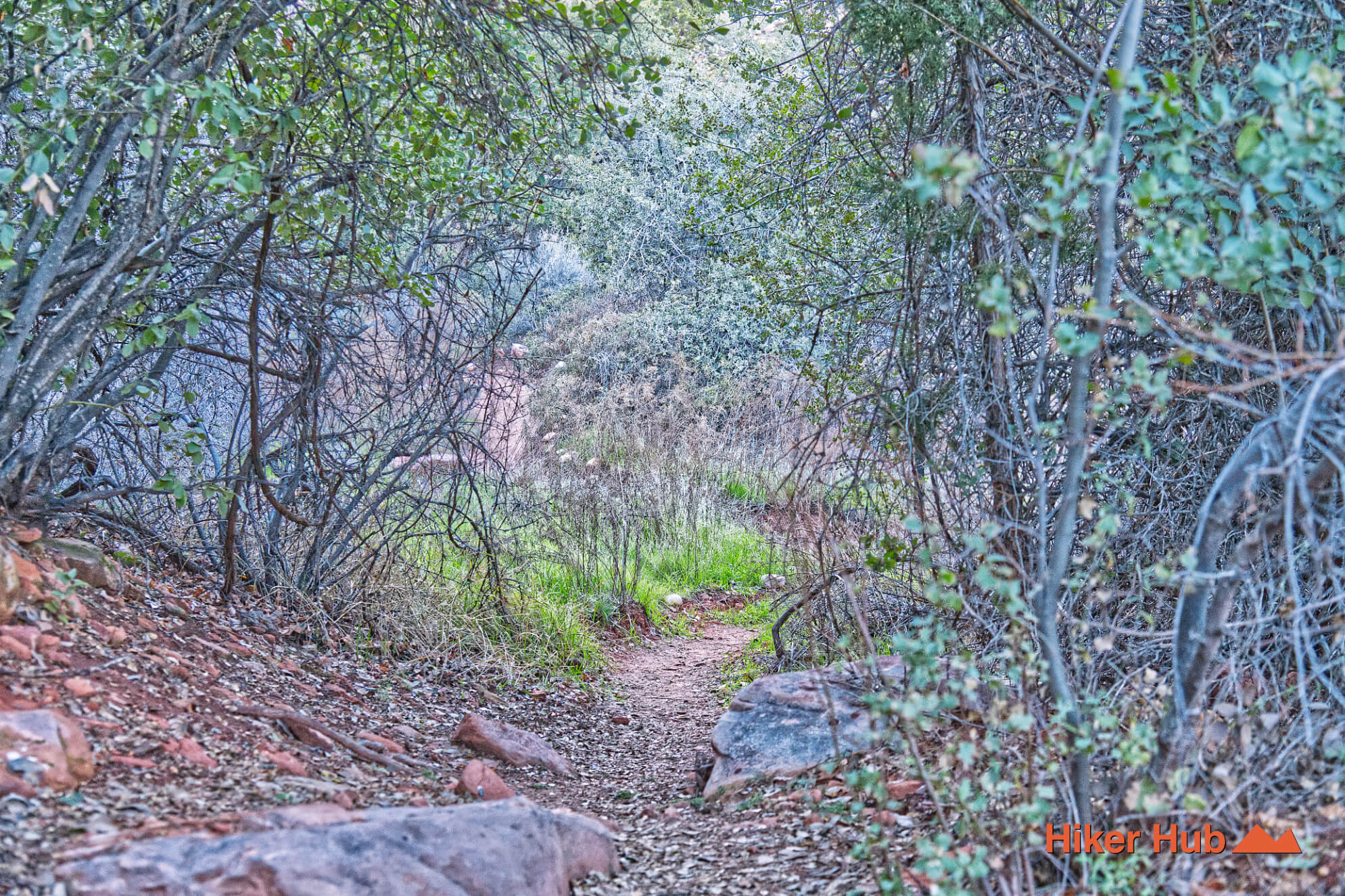 Pine Creek Canyon Trail desert canyon scenery