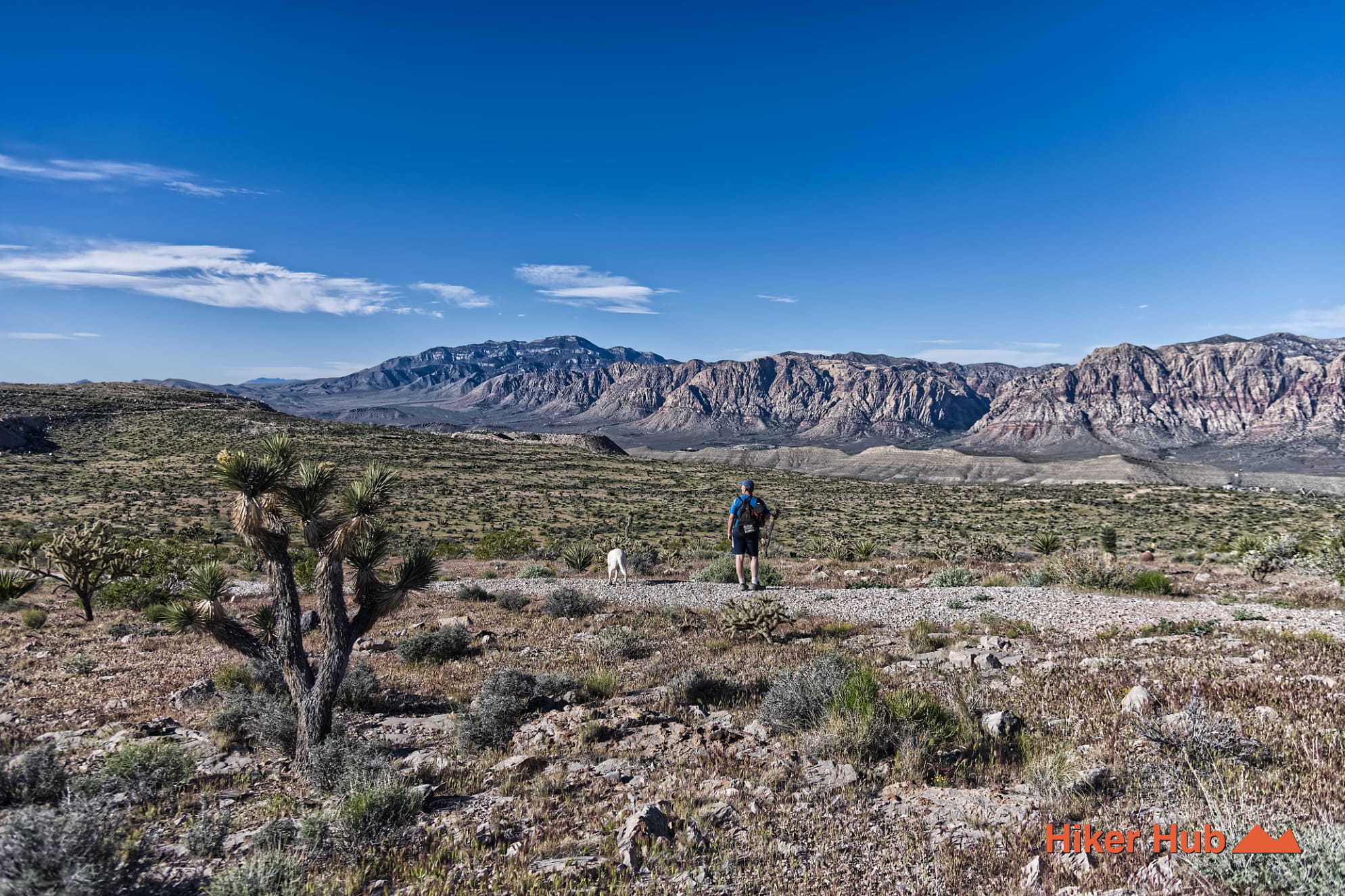 Radio Tower Trail photo