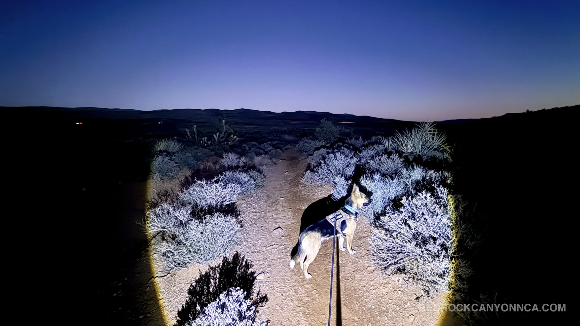Burro Country Loop desert canyon scenery