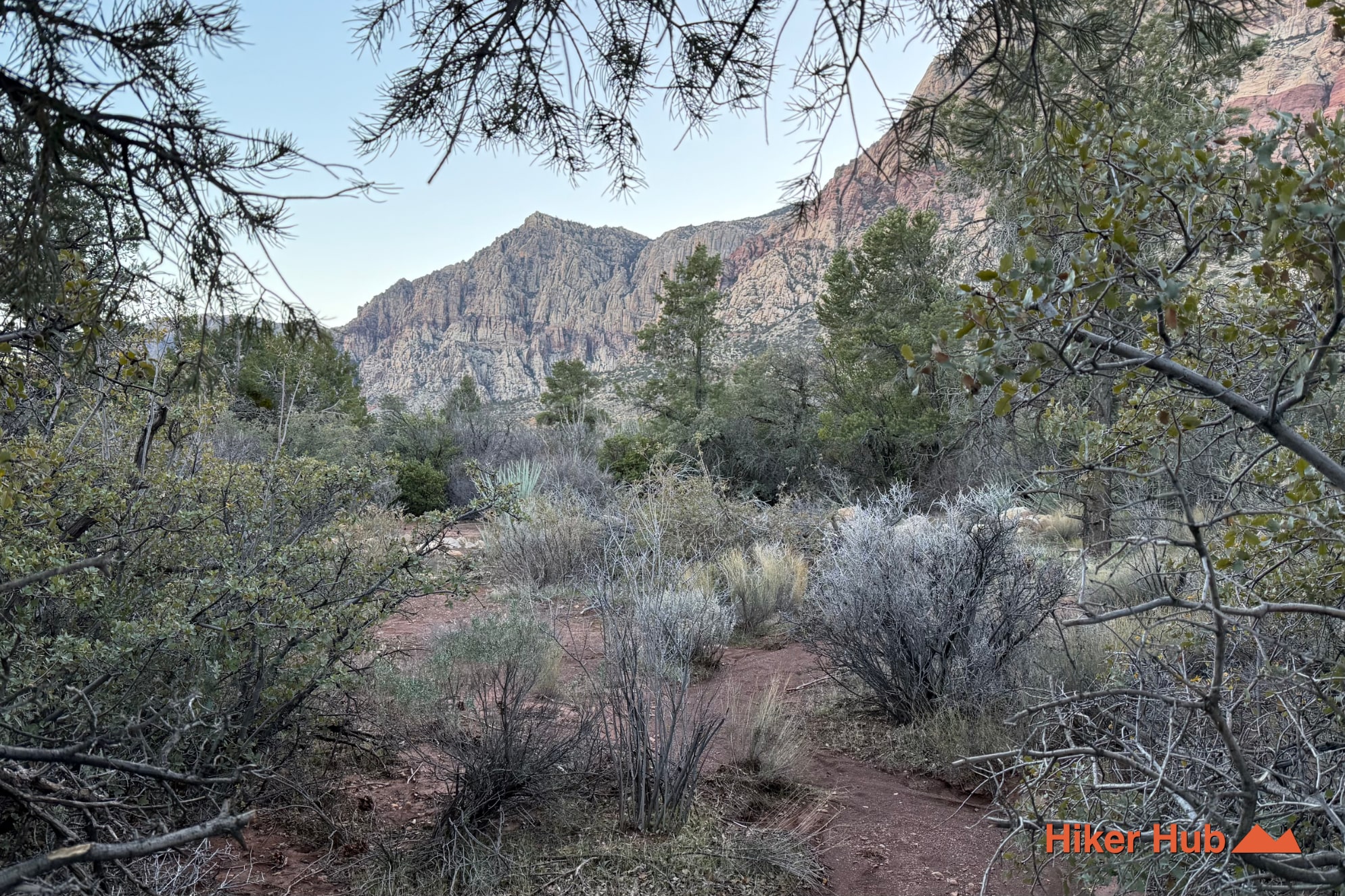 Burro Country Loop desert canyon scenery