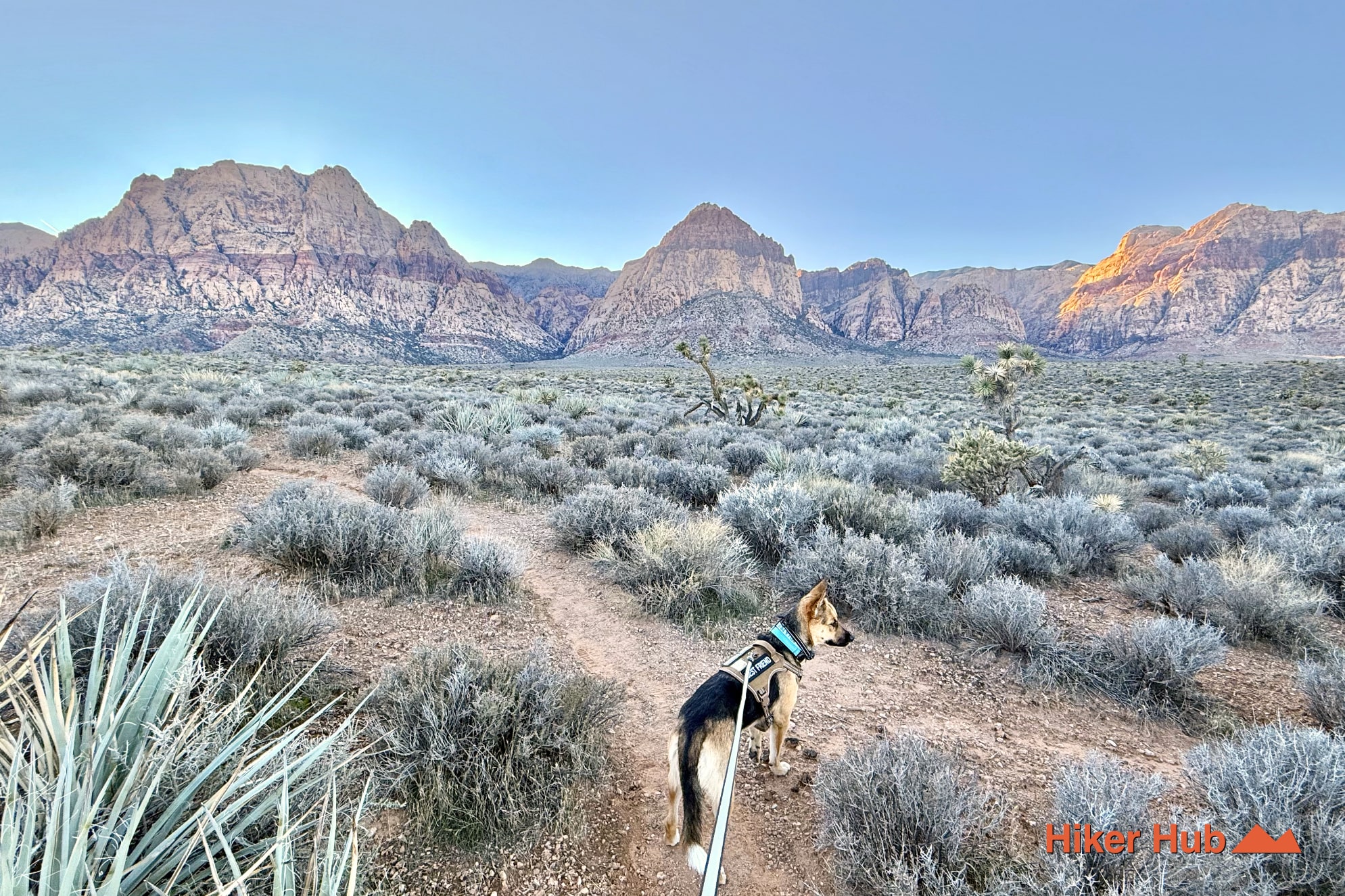 Red Rock Canyon Hiking Trails Loop photo