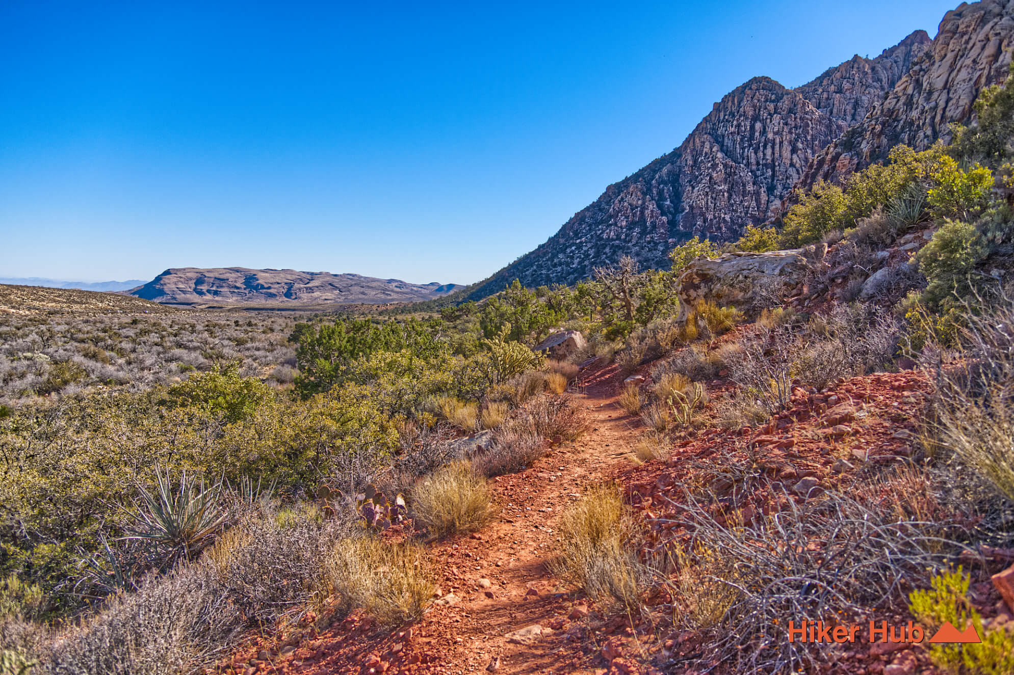 SMYC Canyon Route desert canyon scenery