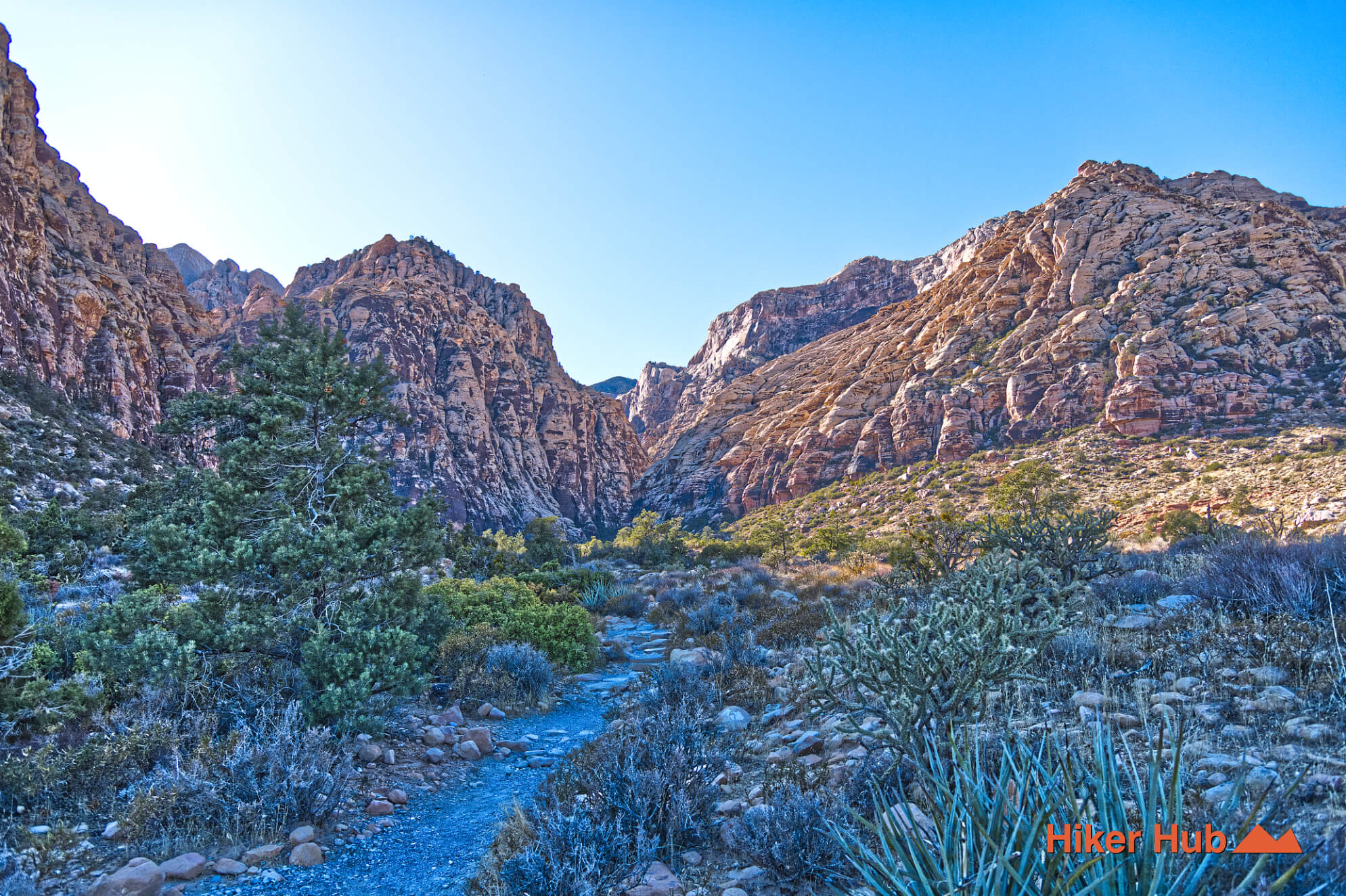 SMYC Canyon Route desert canyon scenery