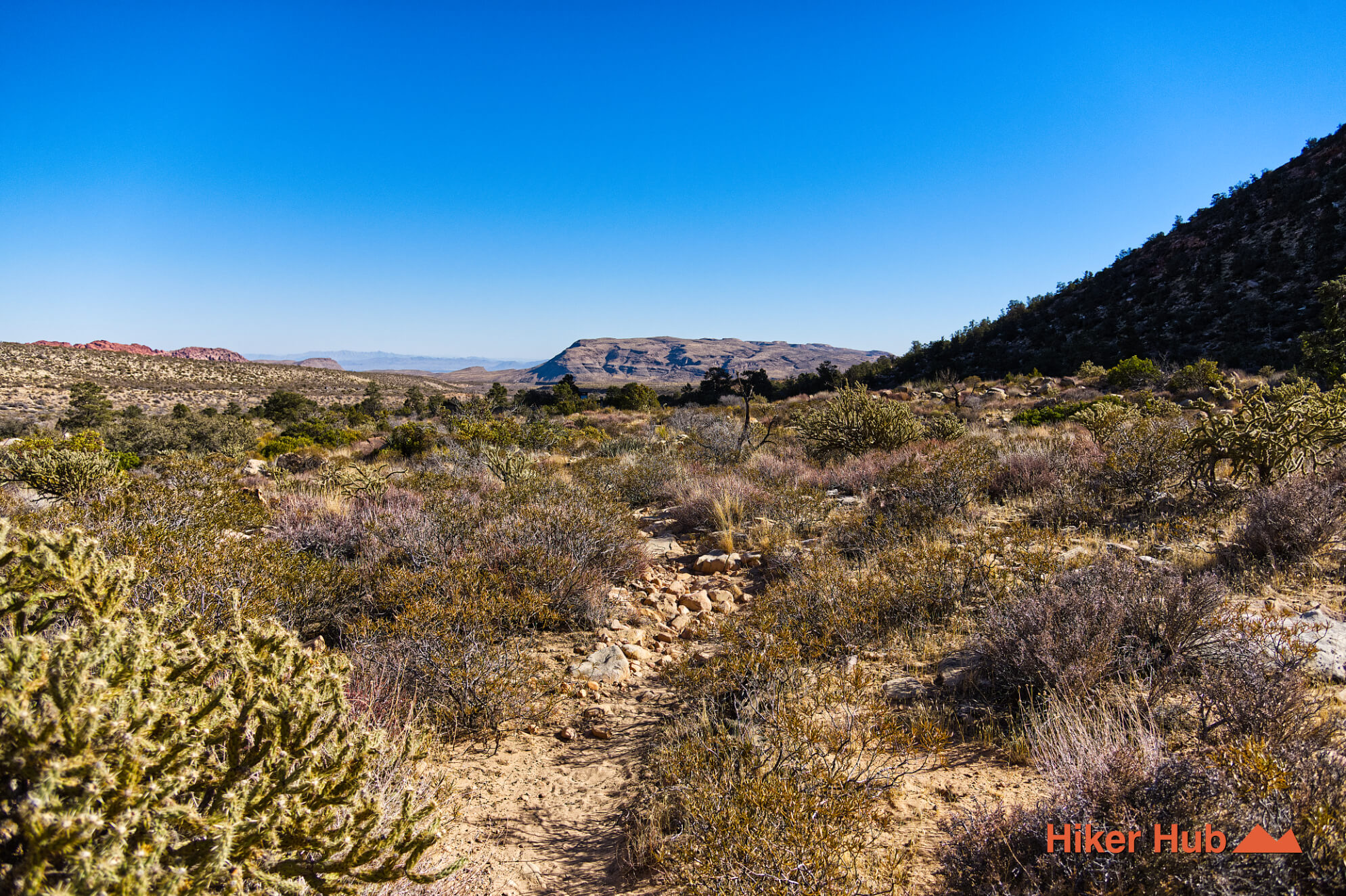 SMYC Canyon Route desert canyon scenery