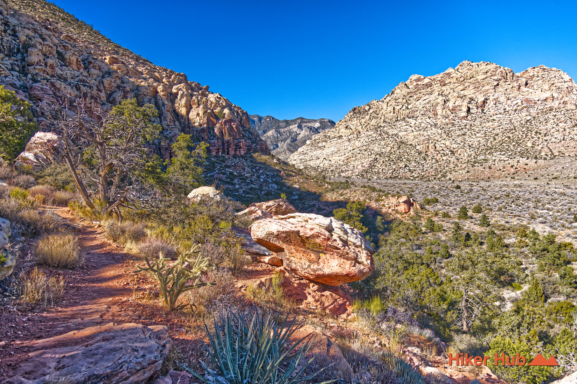 SMYC Canyon Route desert canyon scenery